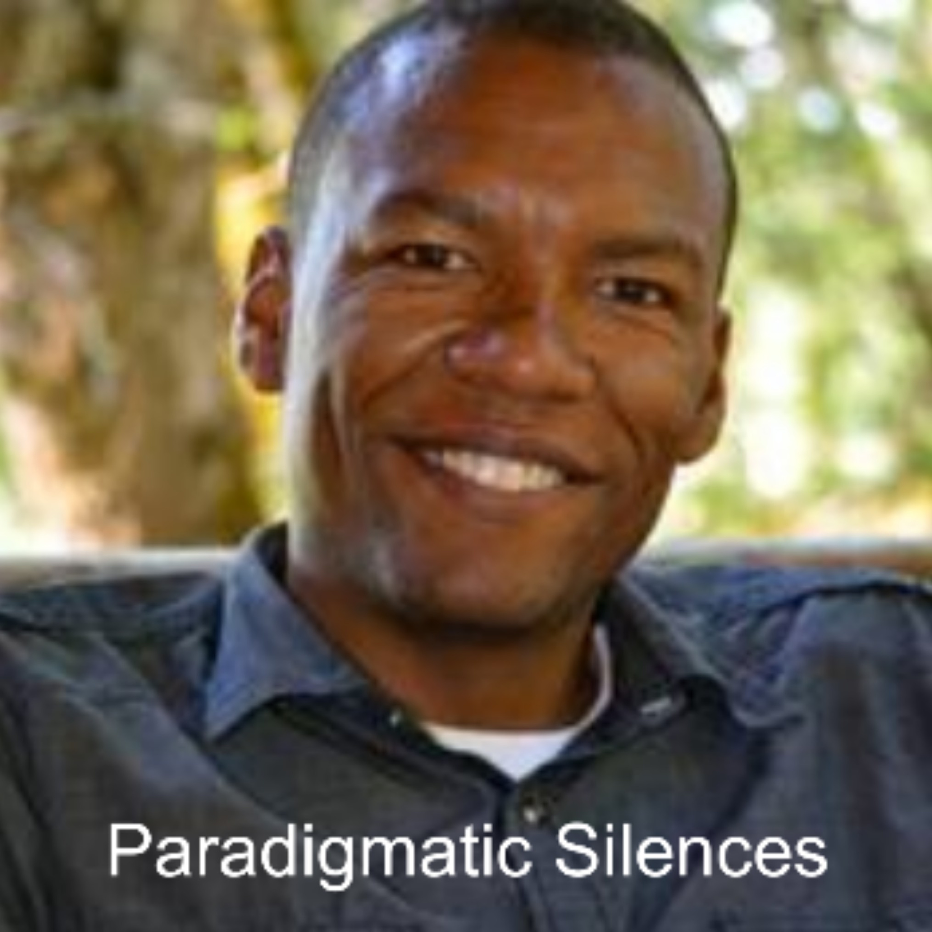Paradigmatic Silences