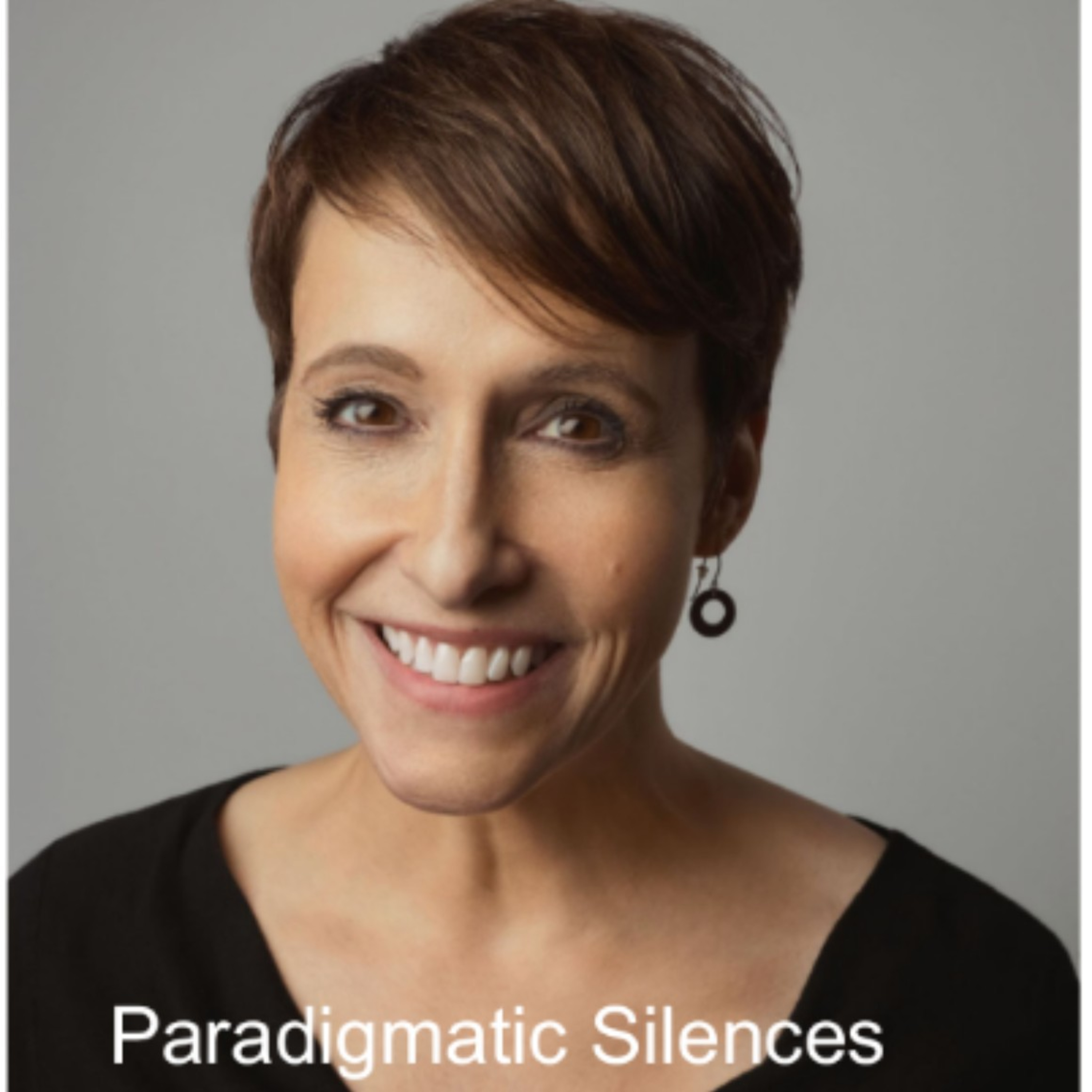 Paradigmatic Silences