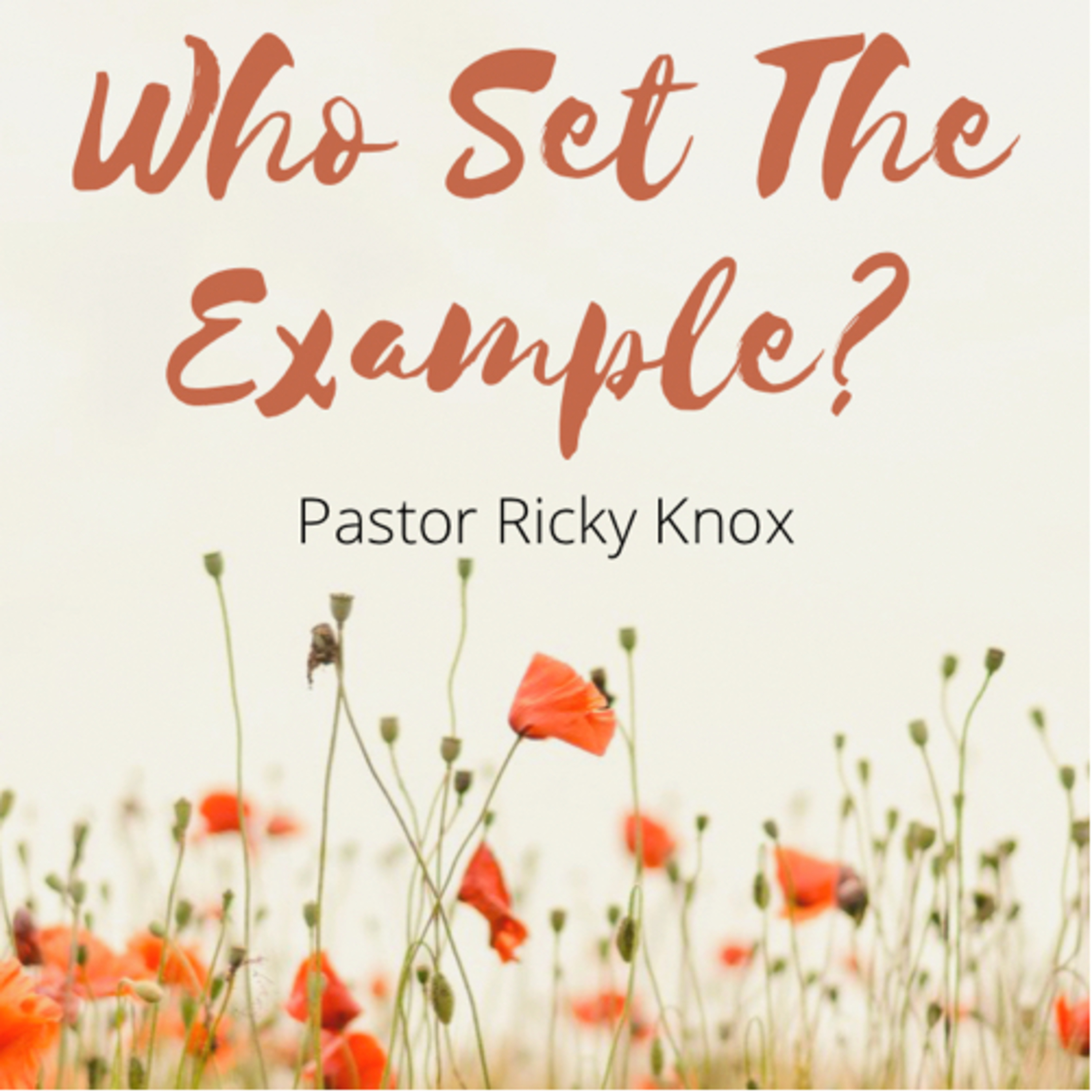 Who Set The Example? episode artwork