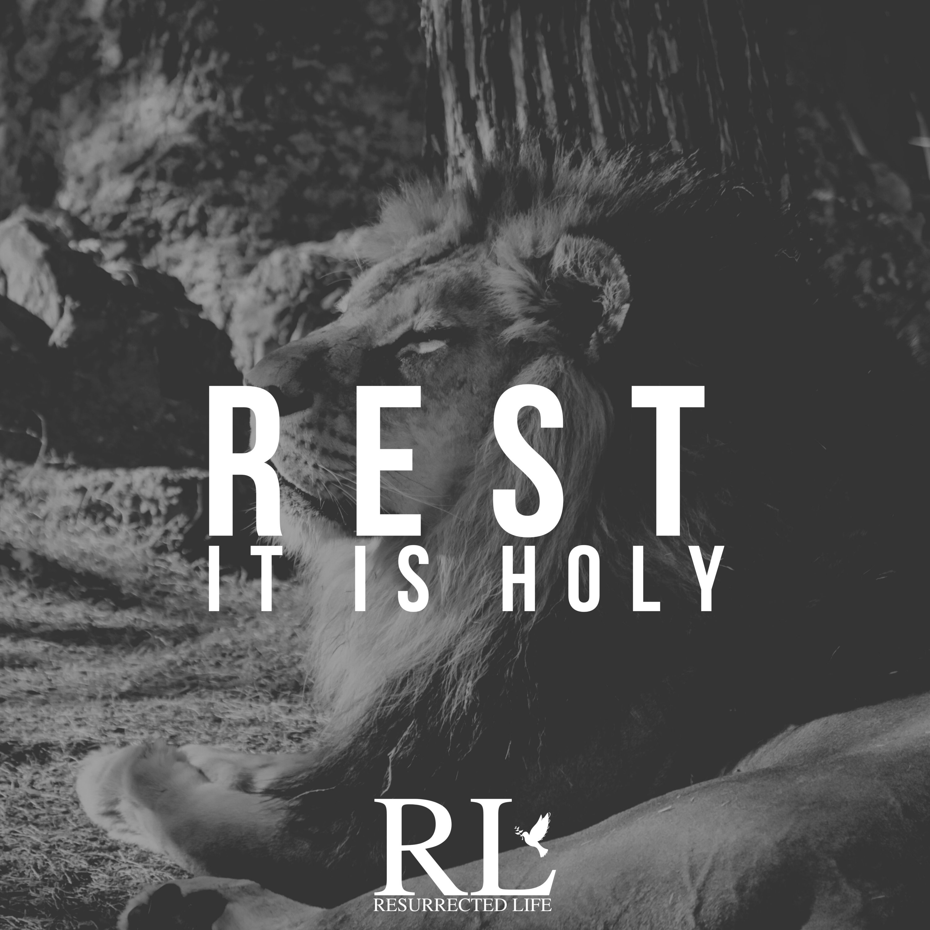 REST 0.2 episode artwork