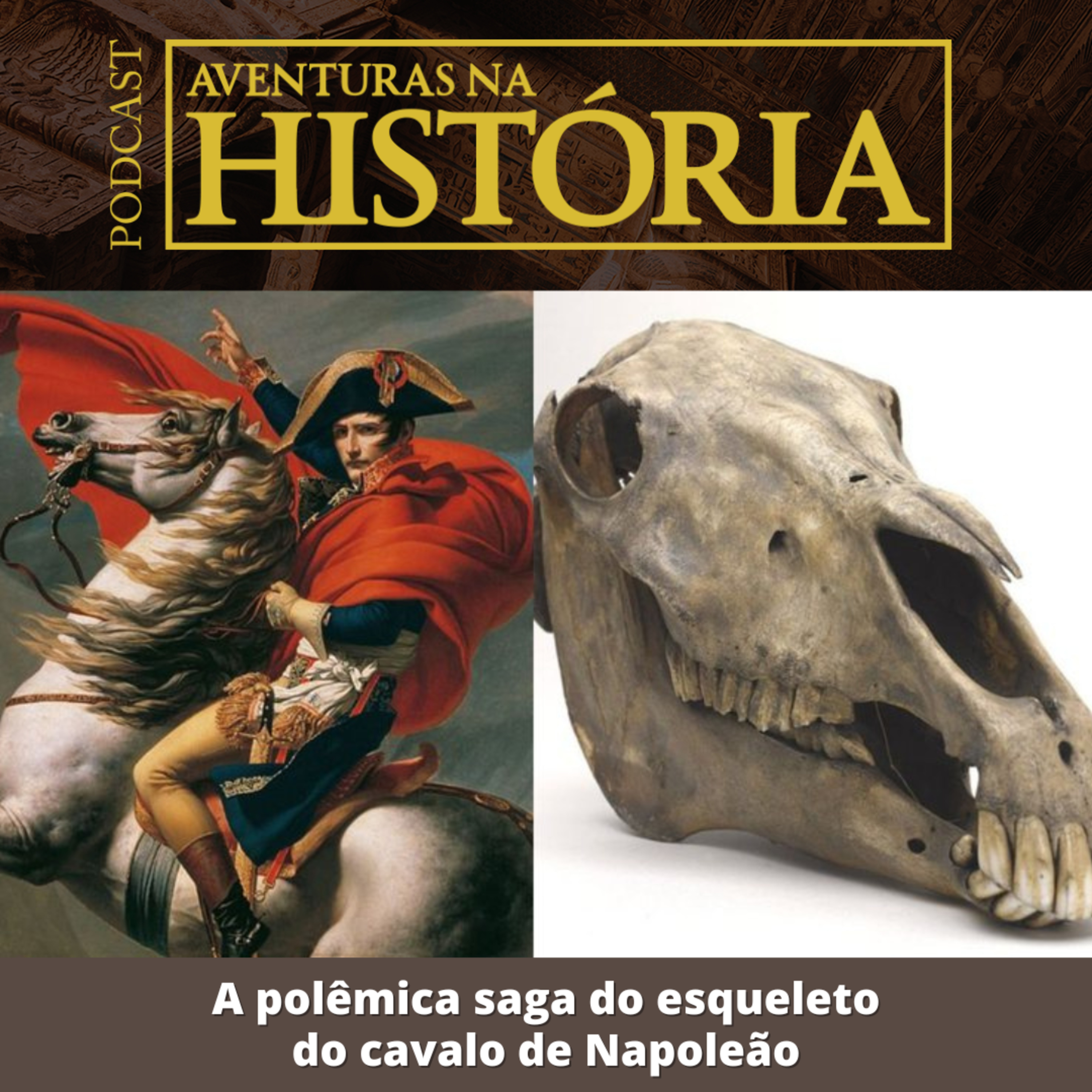 #25 AH: A polêmica saga do esqueleto do cavalo de Napoleão