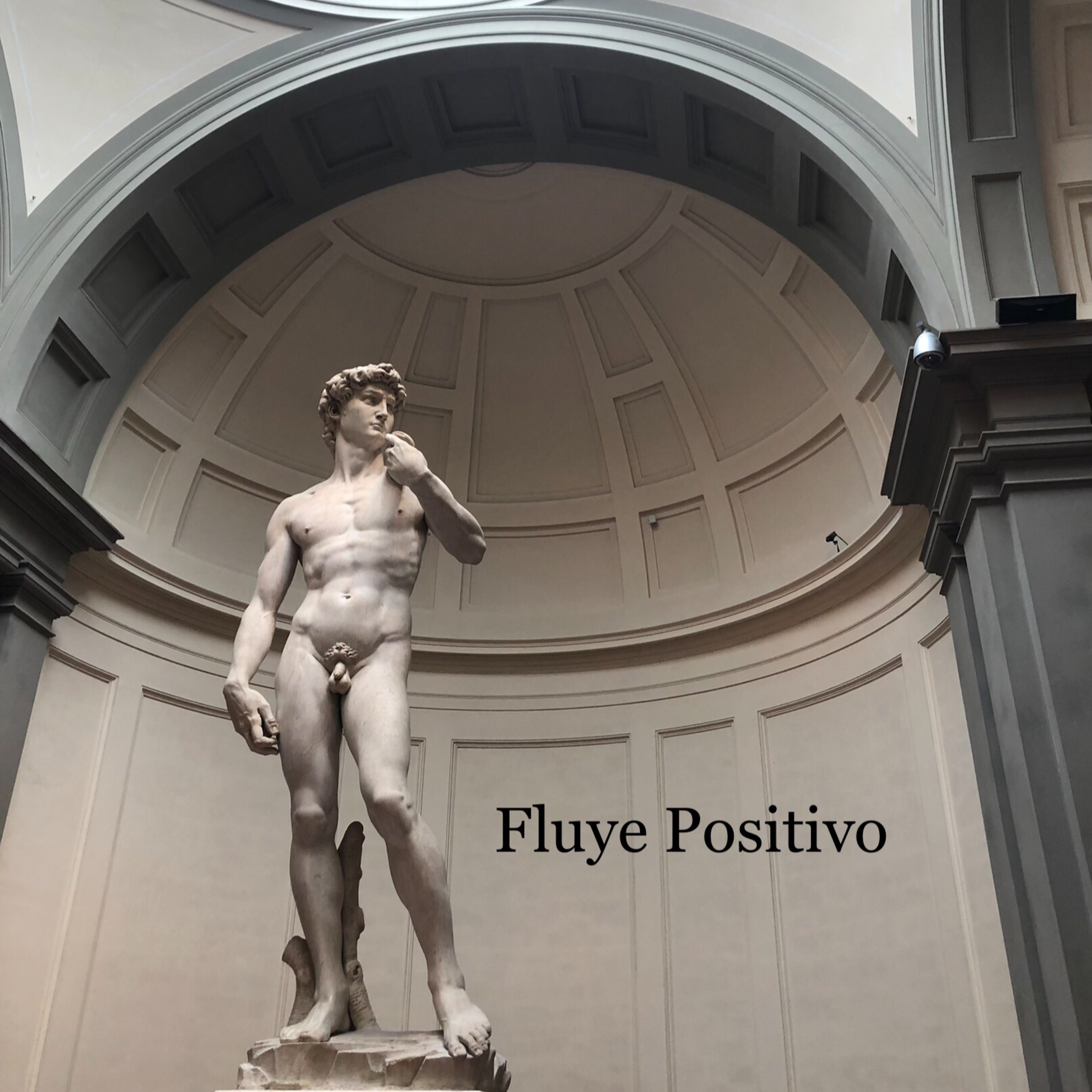 Fluye Positivo