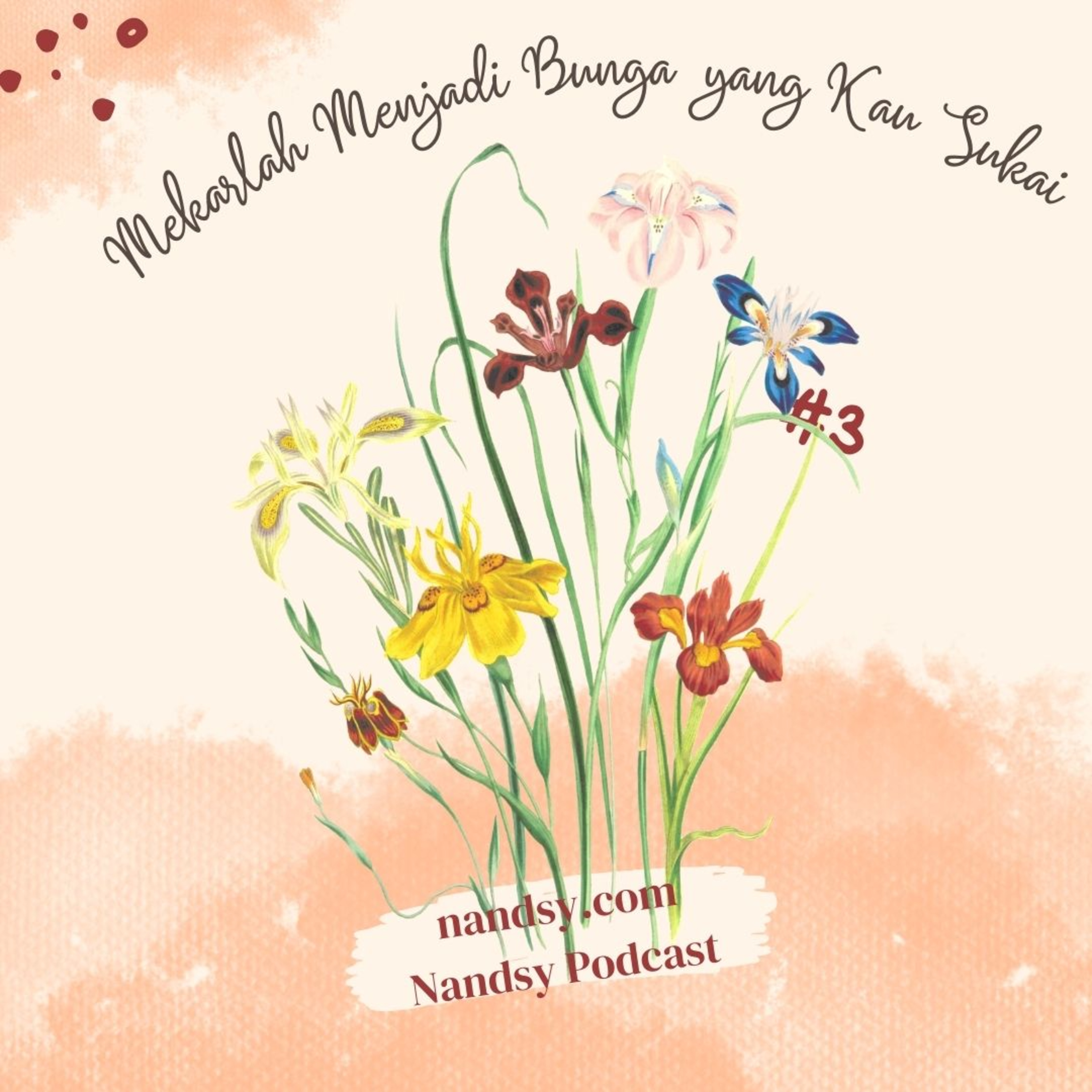 Nandsy Podcast