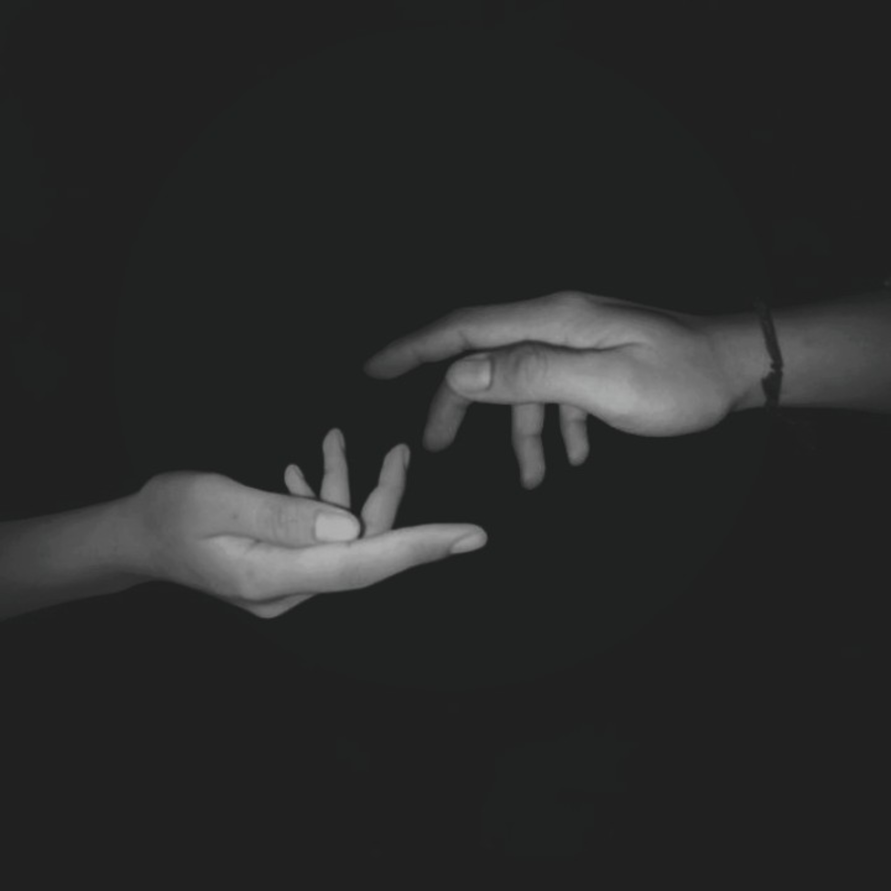 anisaputriningsi