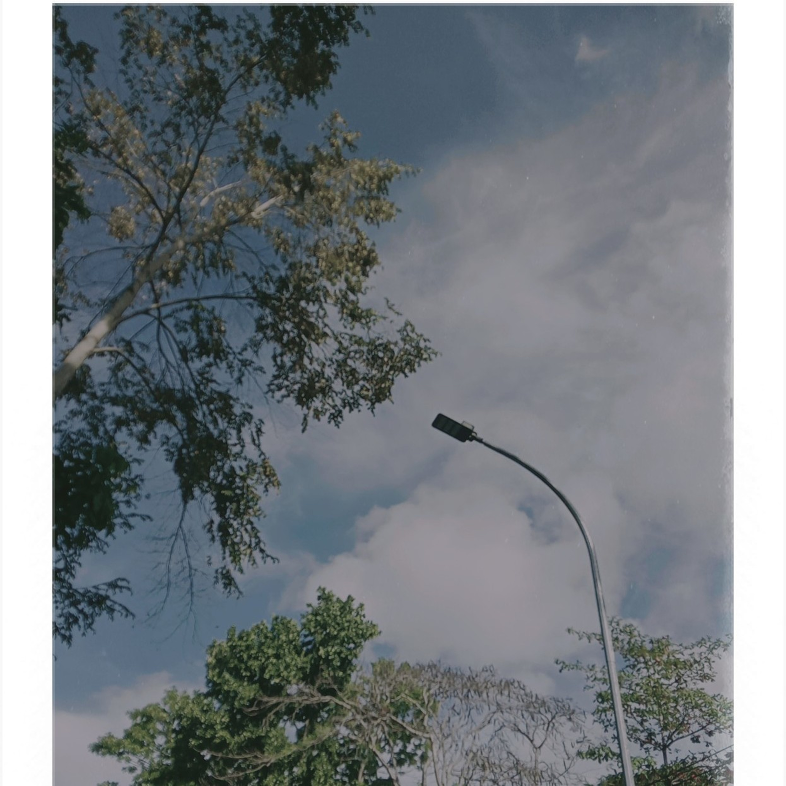 anisaputriningsi