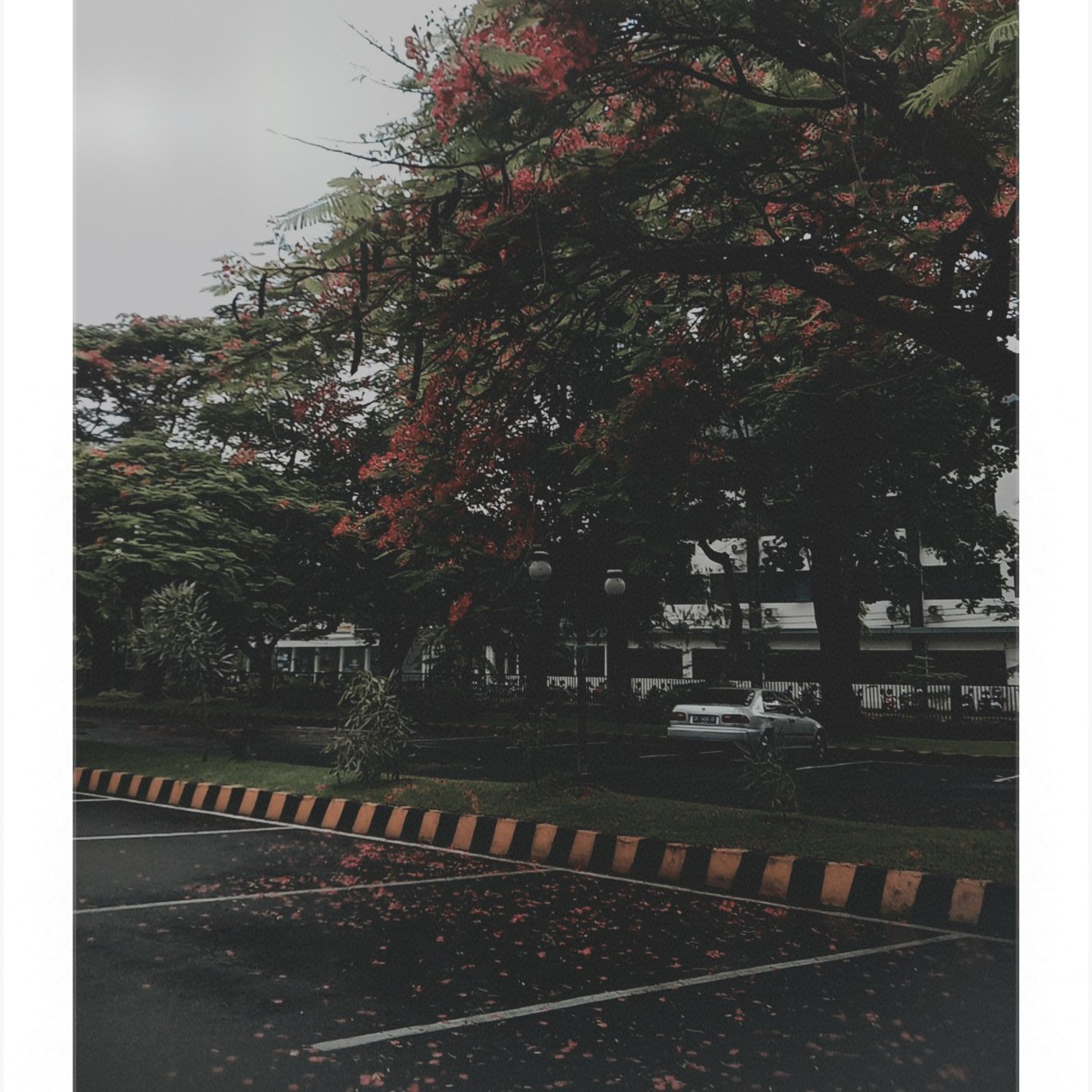 anisaputriningsi