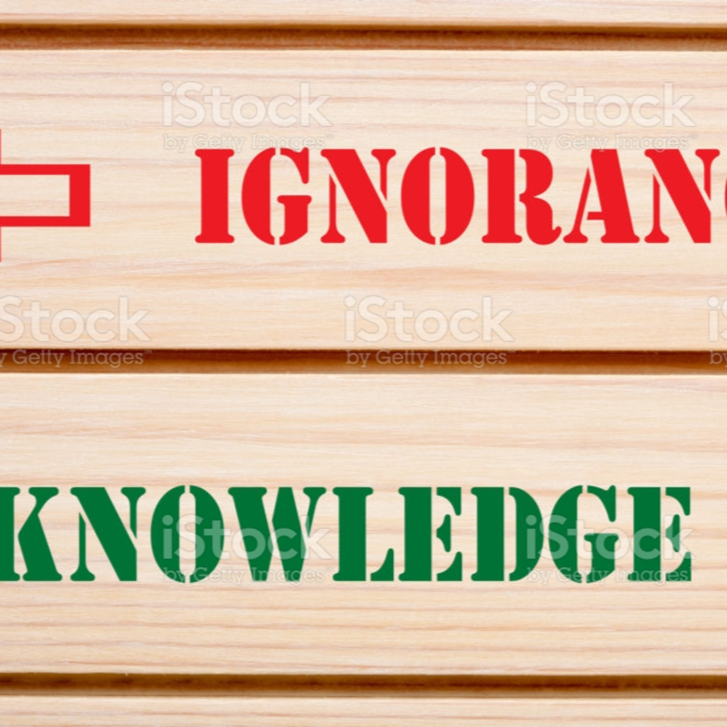 Stop Celebrating Ignorance episode artwork
