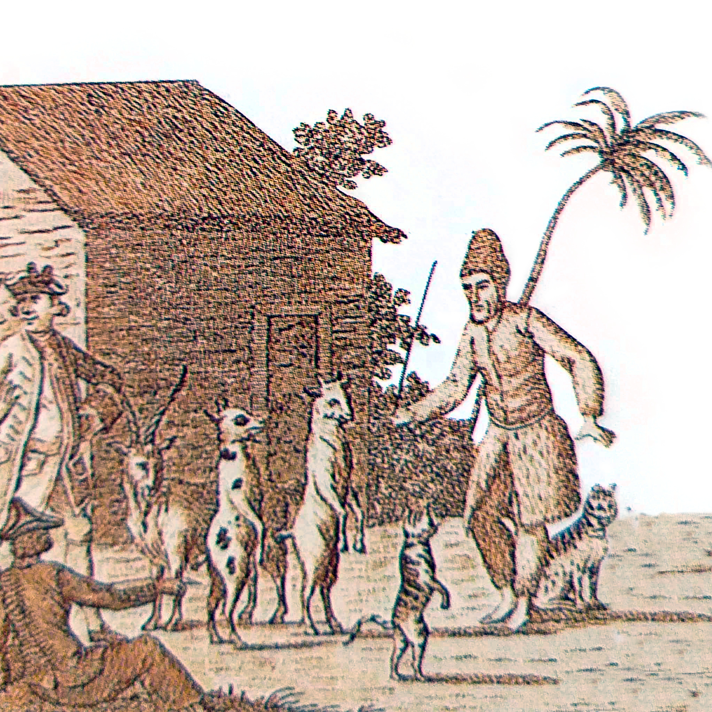 A Hora da Literatura: Robinson Crusoé