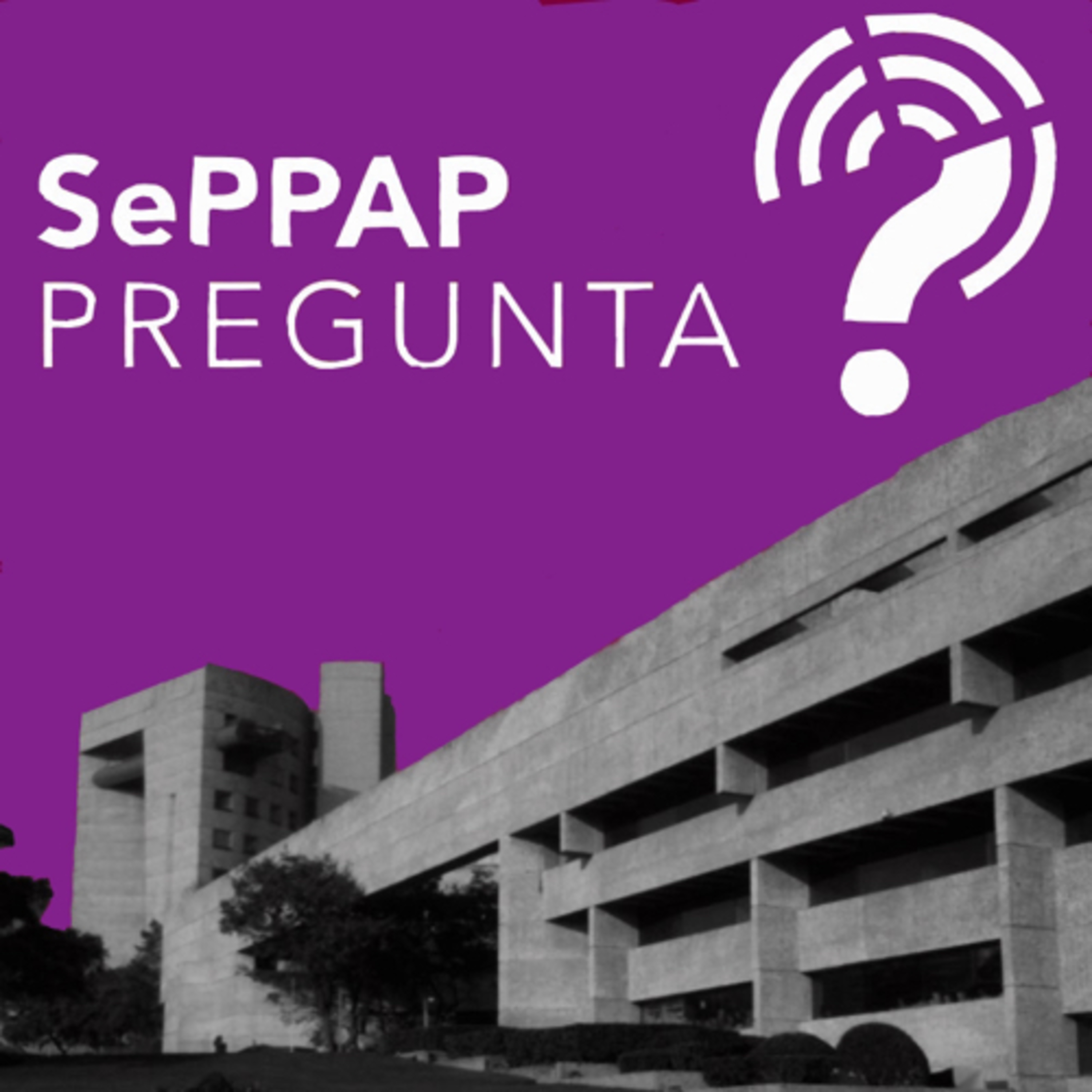 SePPAP Pregunta
