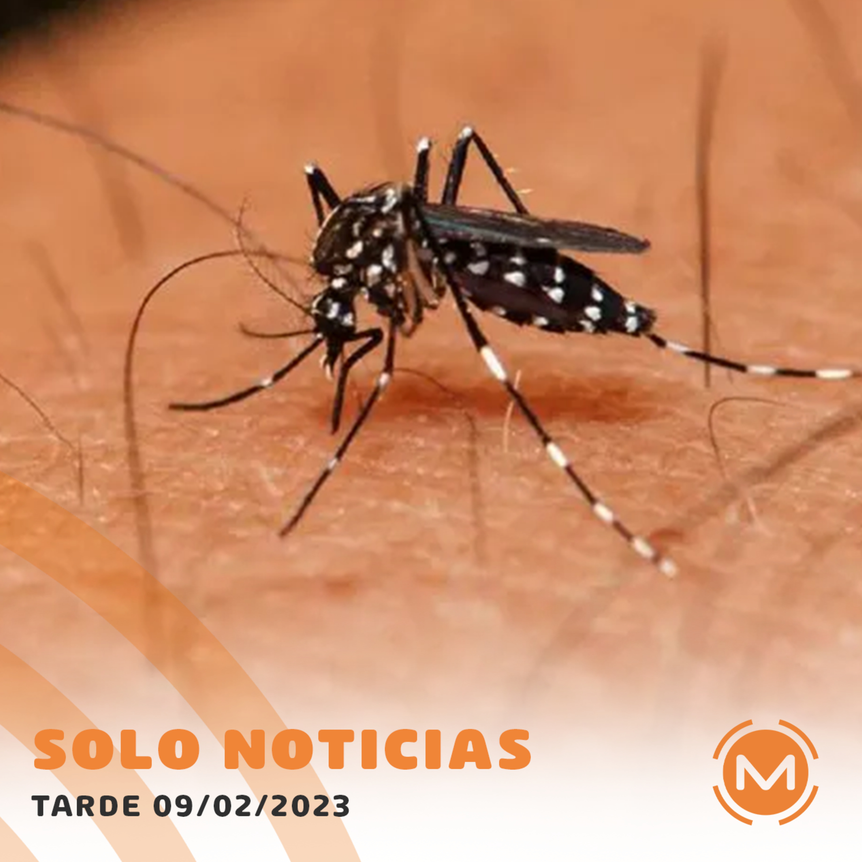 Portada de Monumental AM 1080