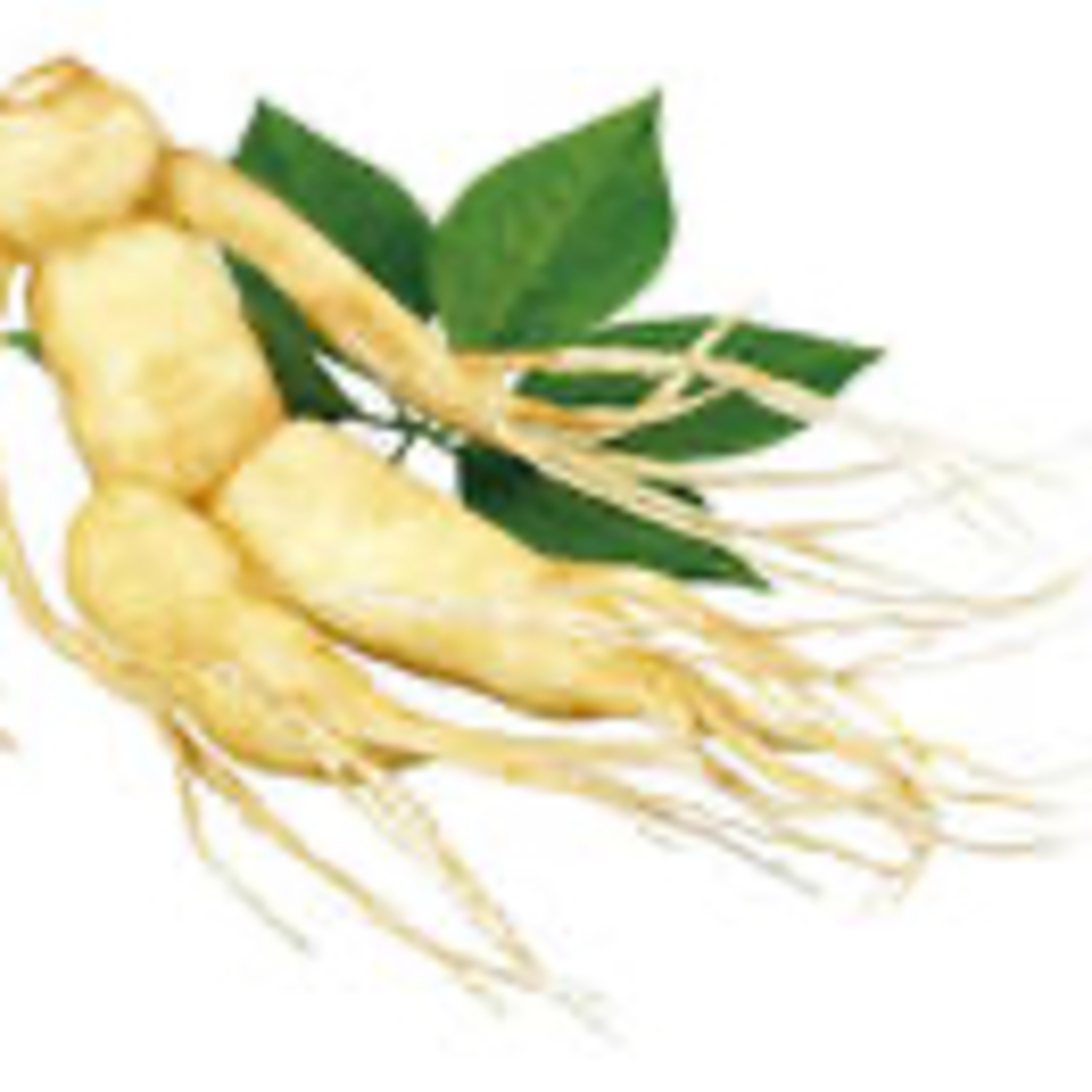 TCM, Ginseng & heilsame Wirkungen