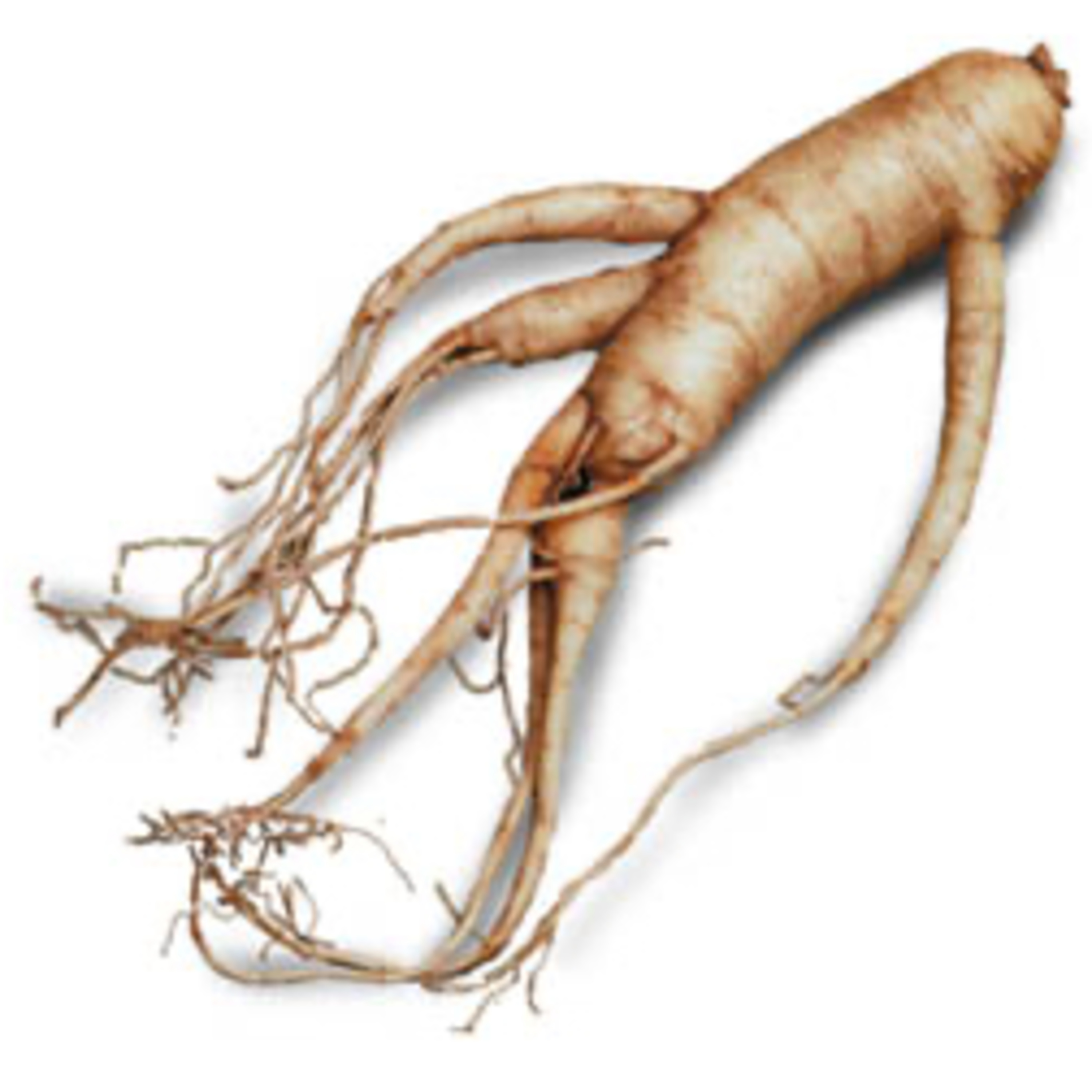 TCM, Ginseng & heilsame Wirkungen