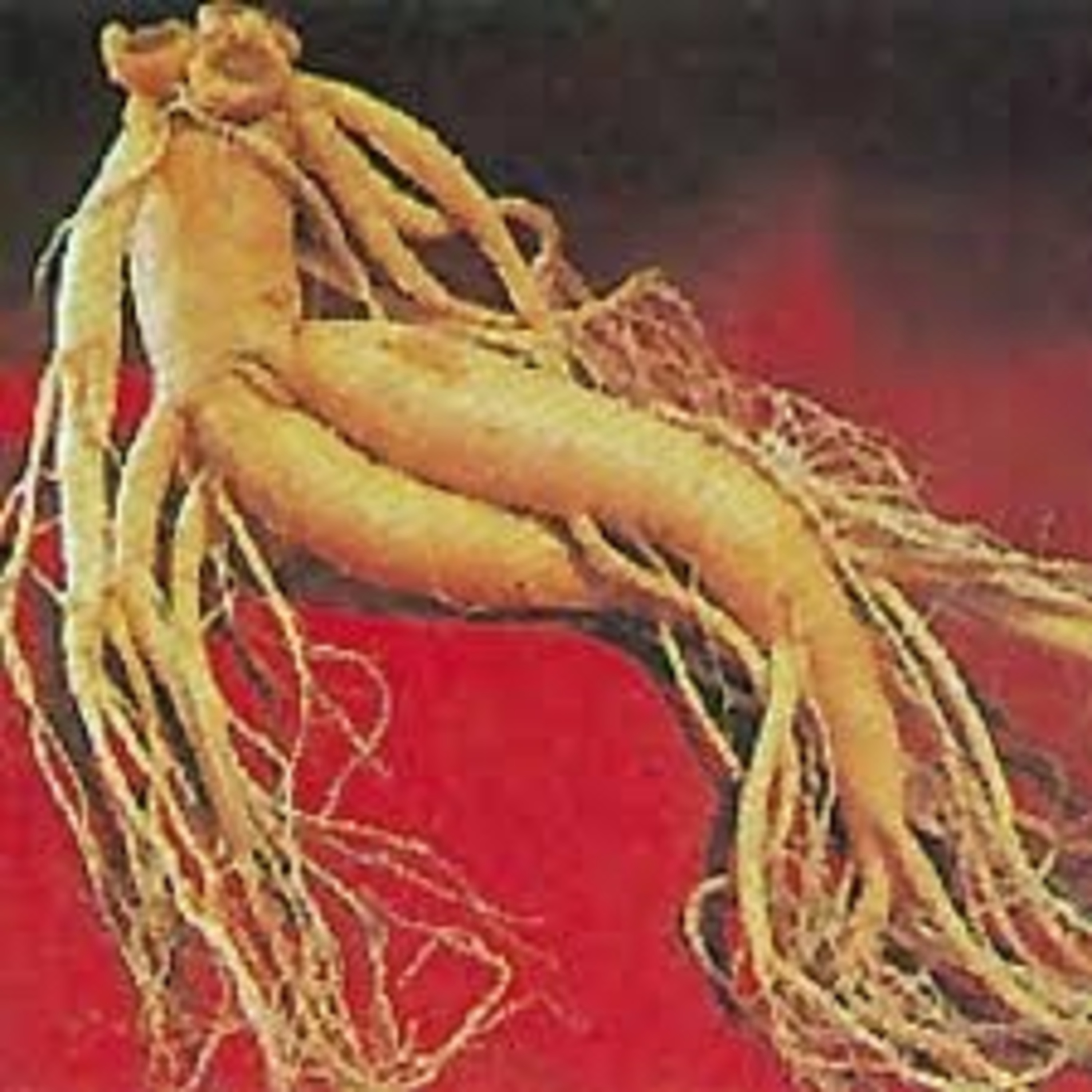 TCM, Ginseng & heilsame Wirkungen