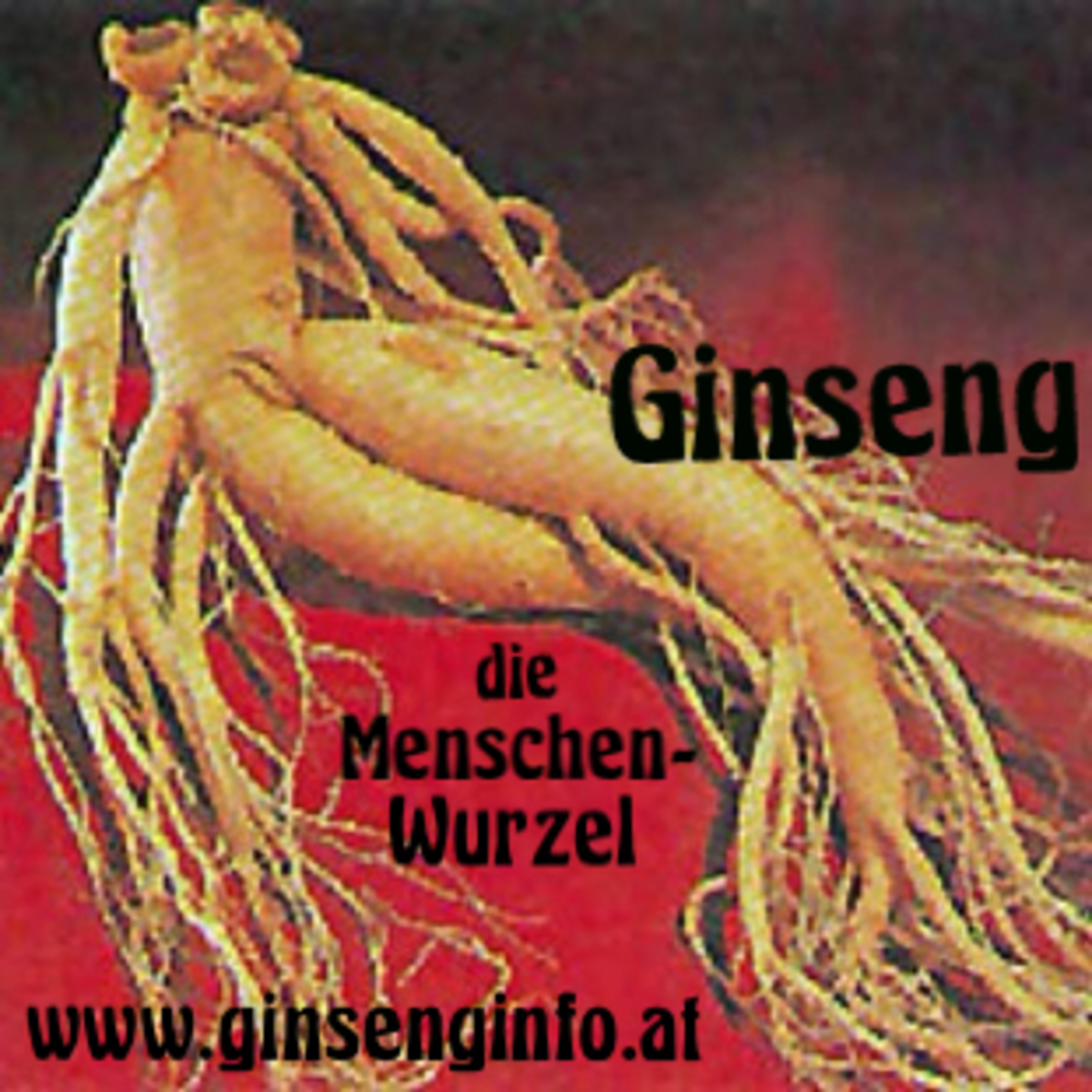 TCM, Ginseng & heilsame Wirkungen
