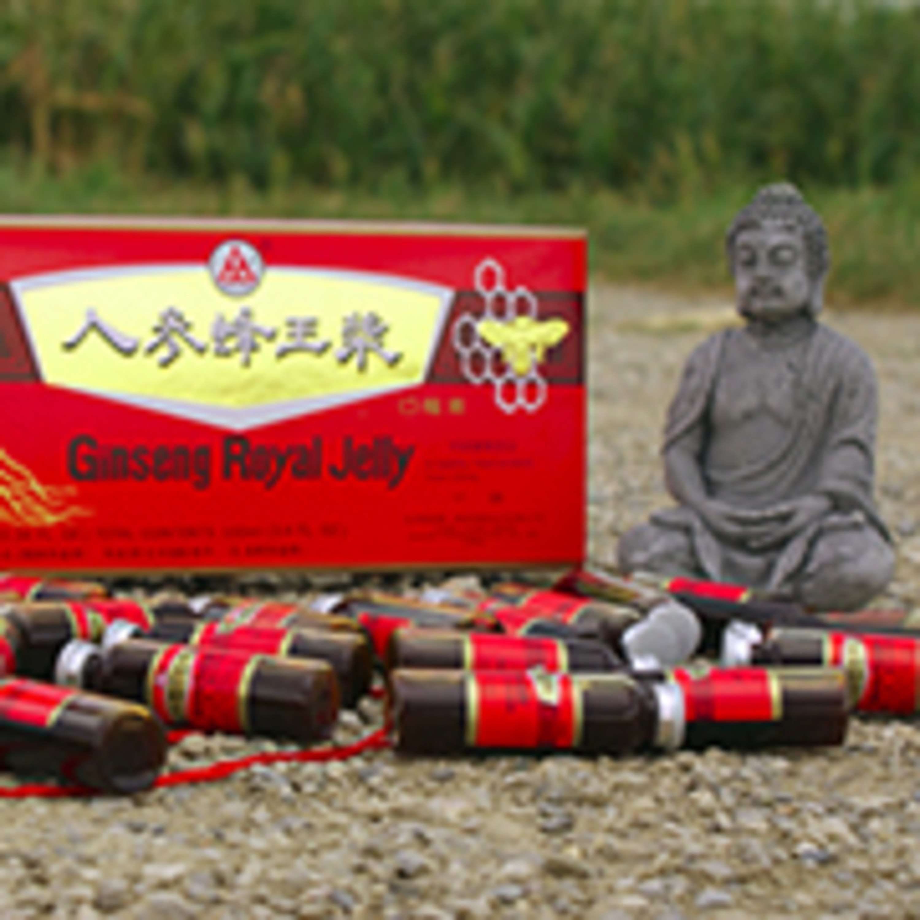 TCM, Ginseng & heilsame Wirkungen