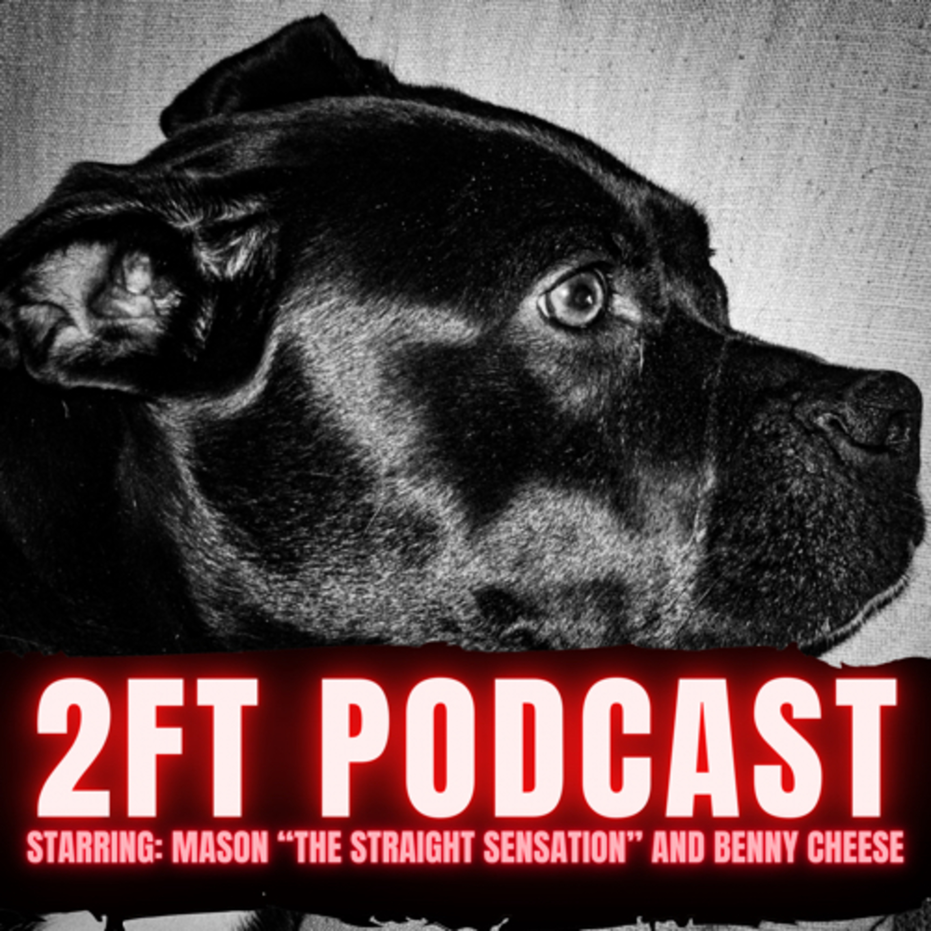 2FT Podcast