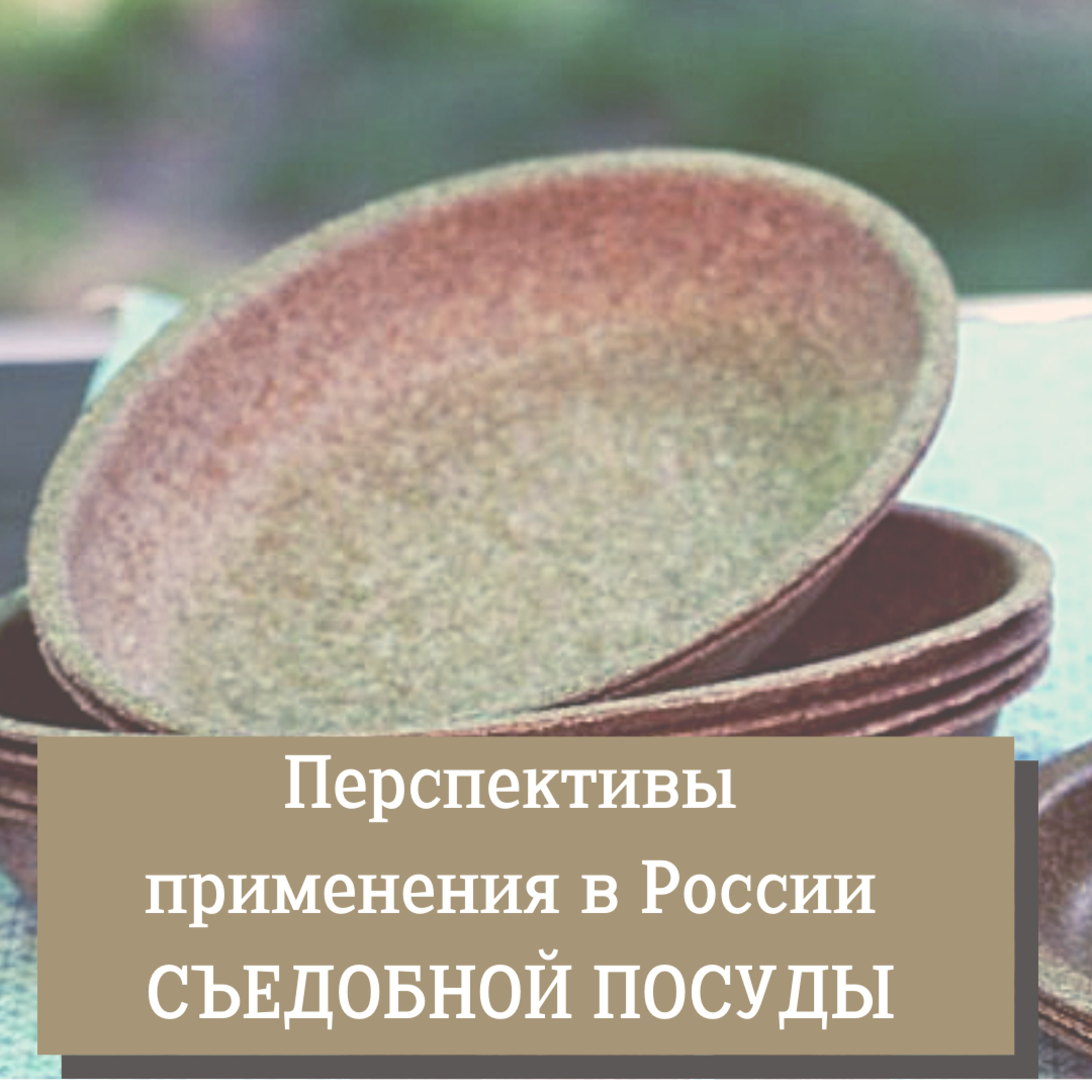 О перспективах применения в России съедобной посуды episode artwork