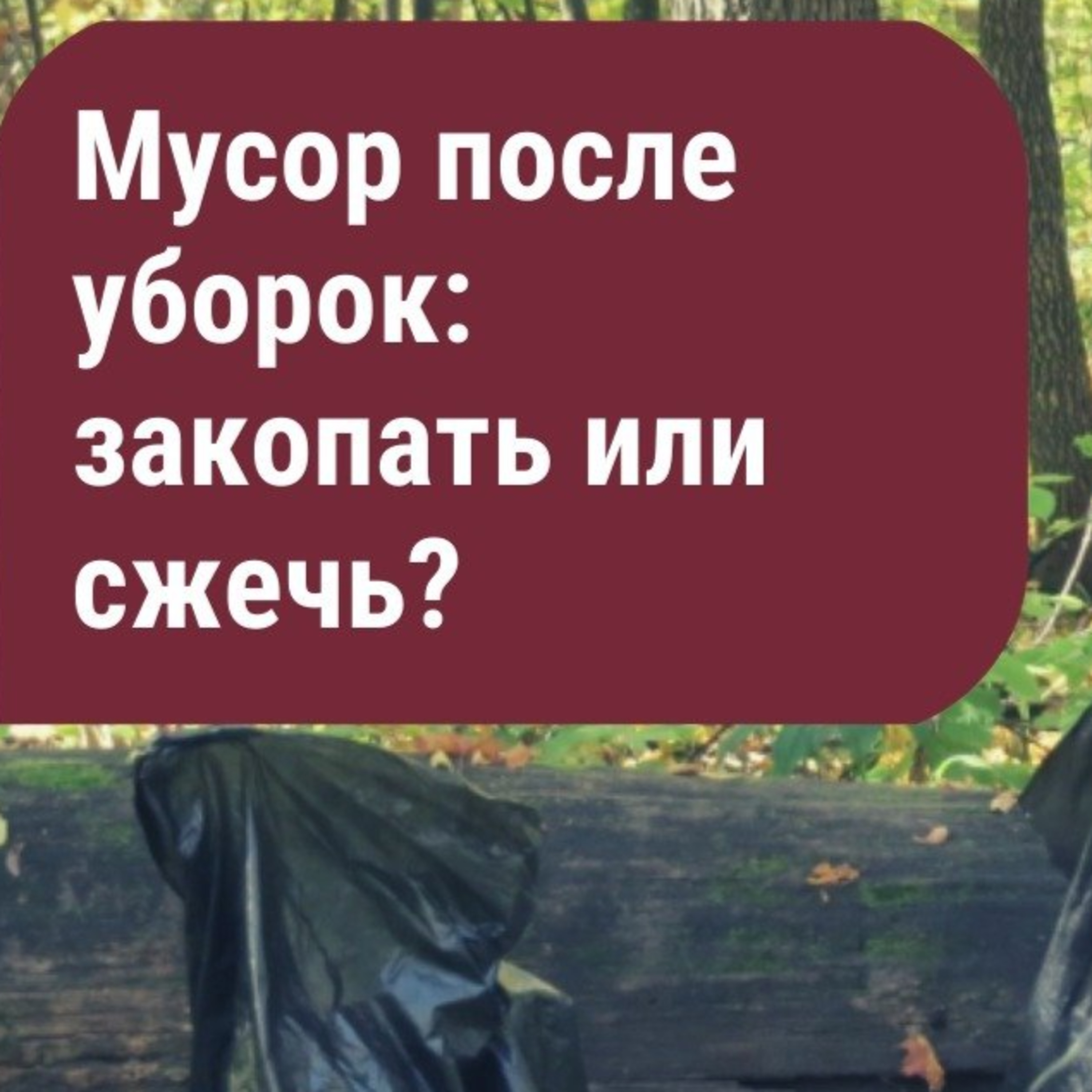 Мусор после уборок. Закопать или сжечь? episode artwork