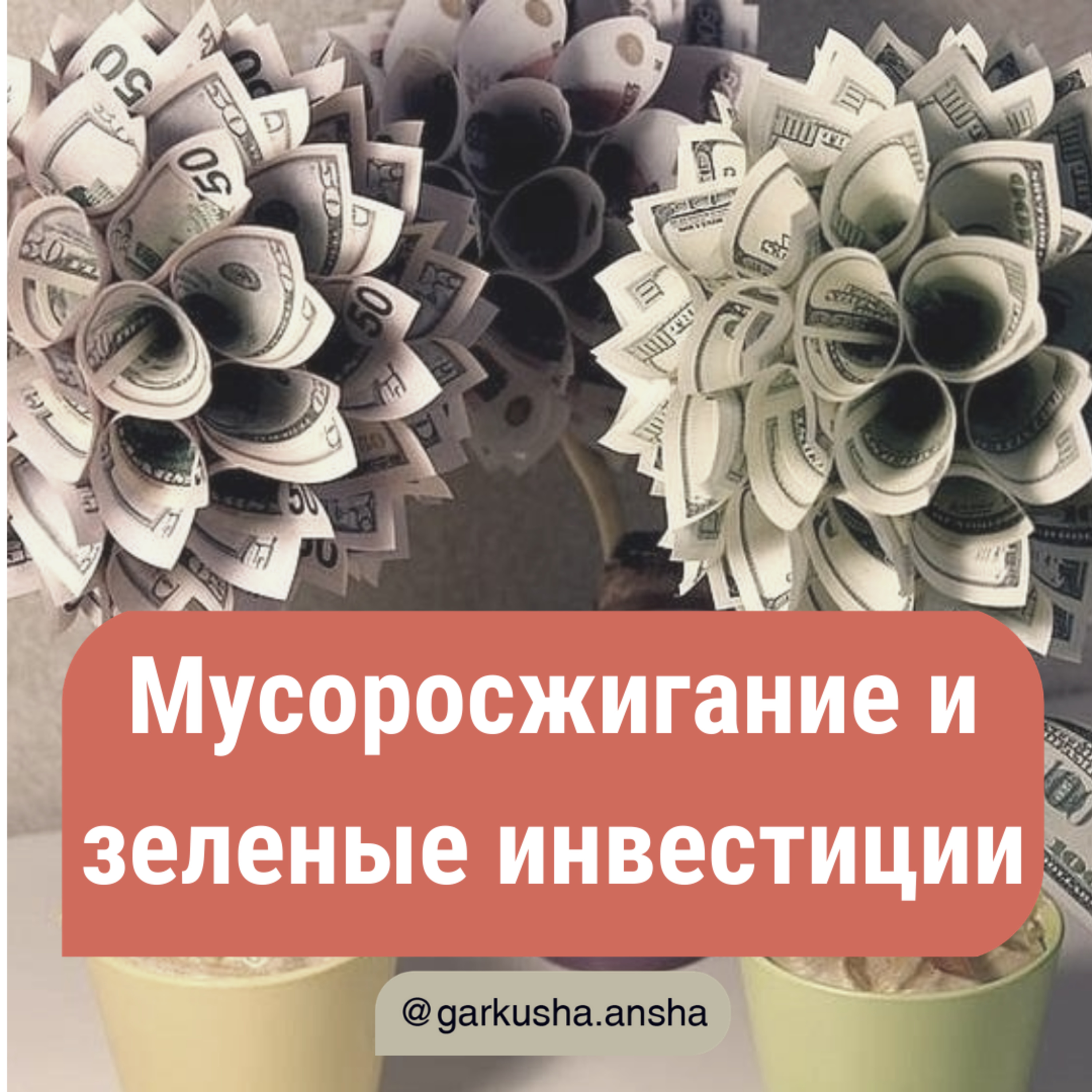 Мусоросжигание и зеленые облигации episode artwork