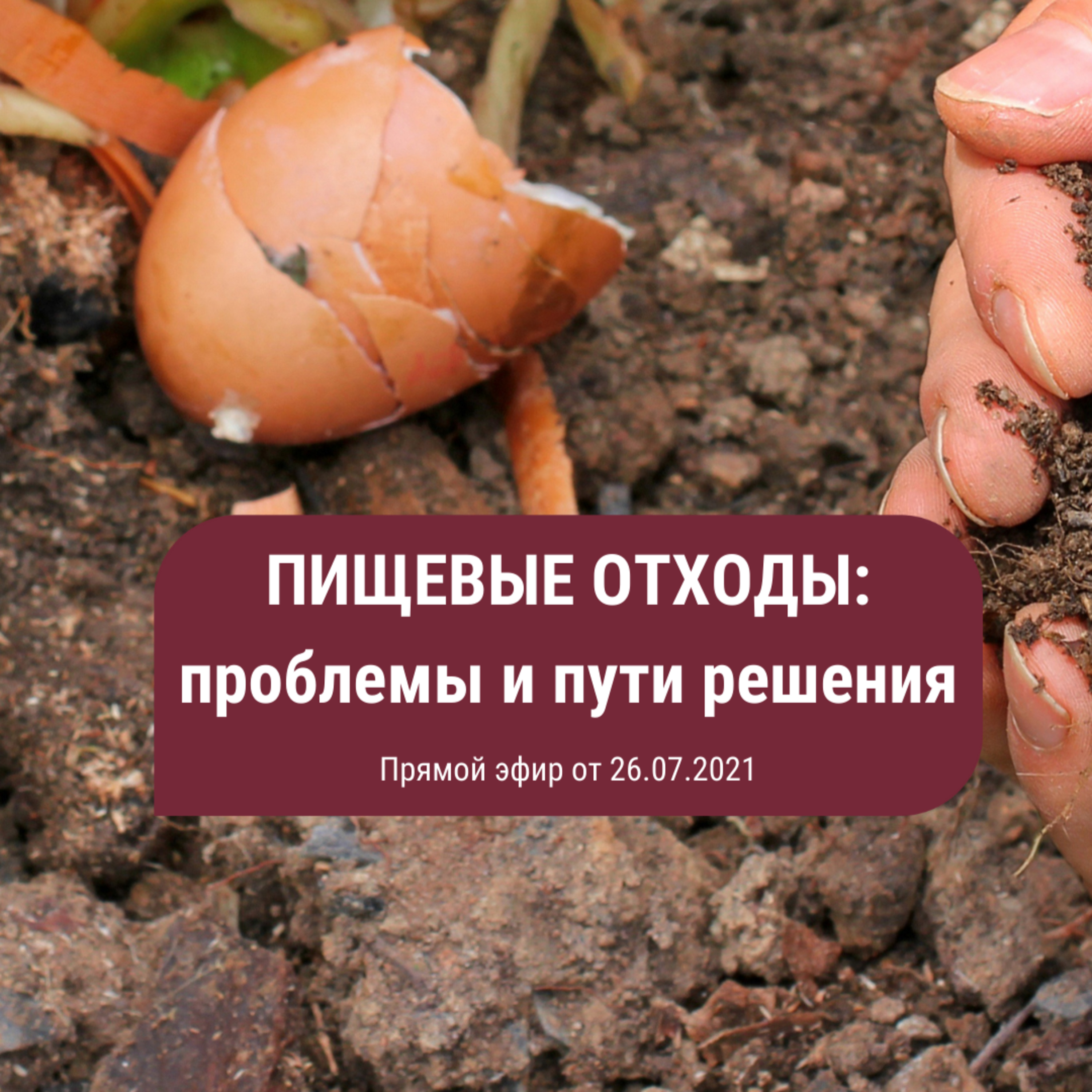 Пищевые отходы. Проблемы и пути решения. Запись прямого эфира. episode artwork