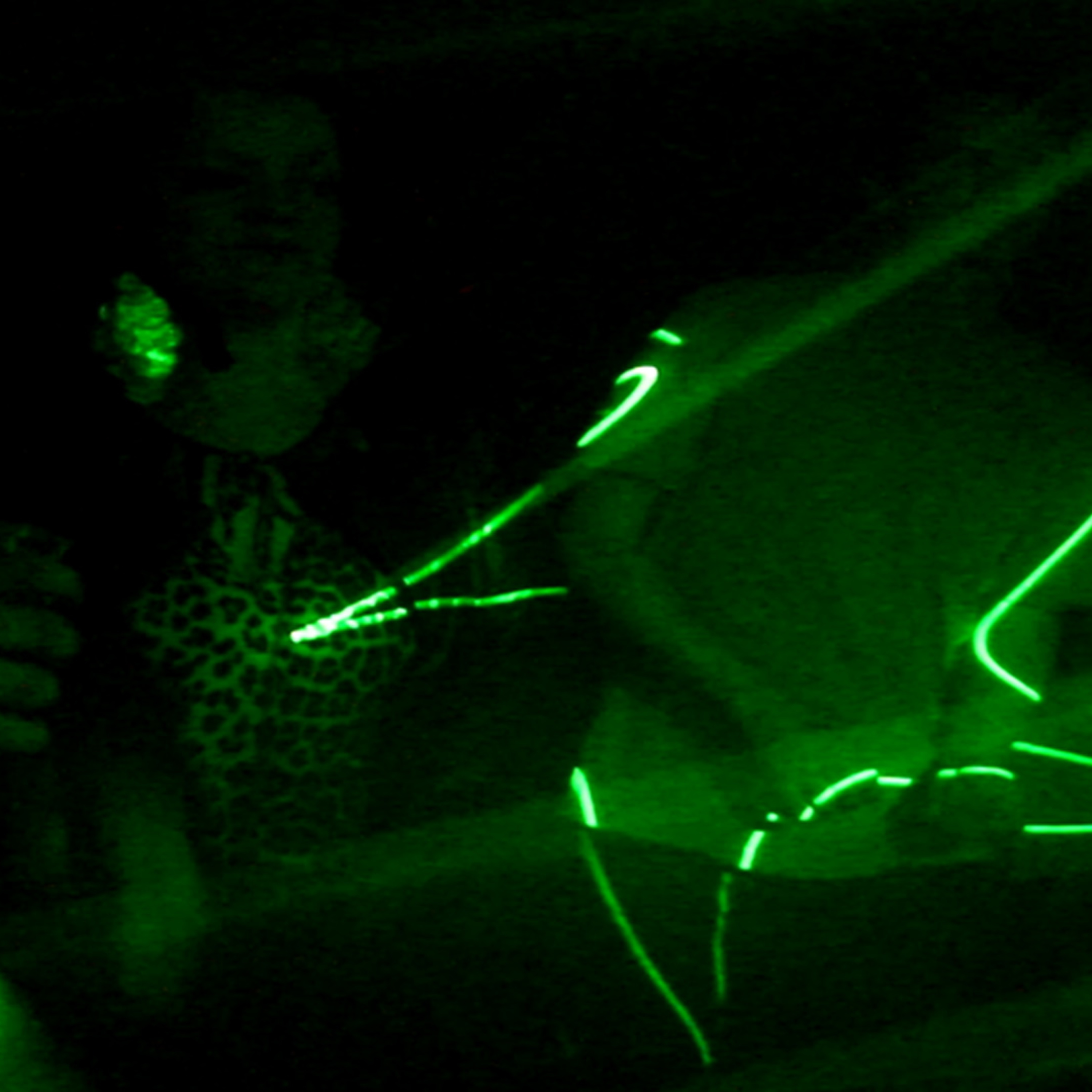 People and Dancefloors