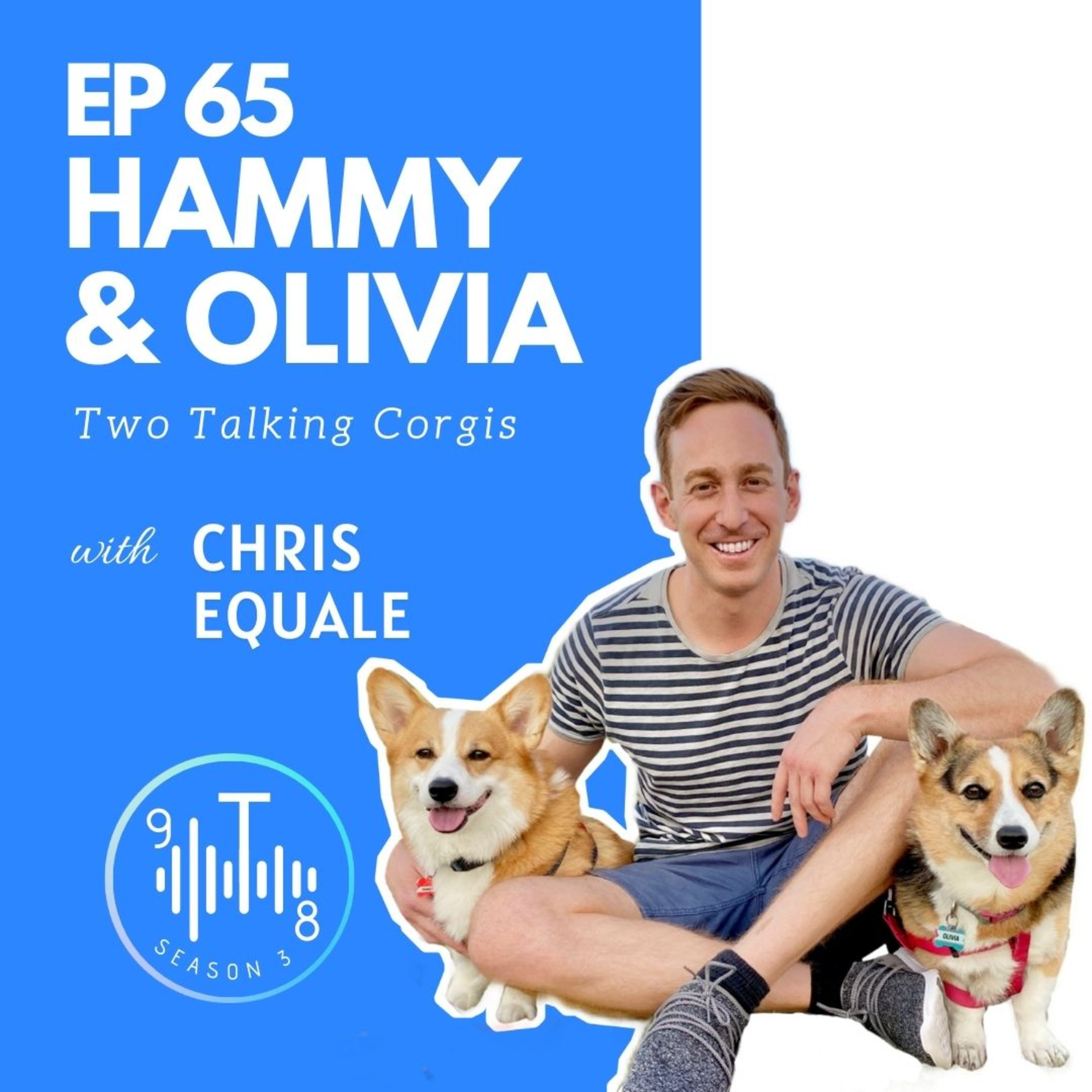 9T8 Podcast