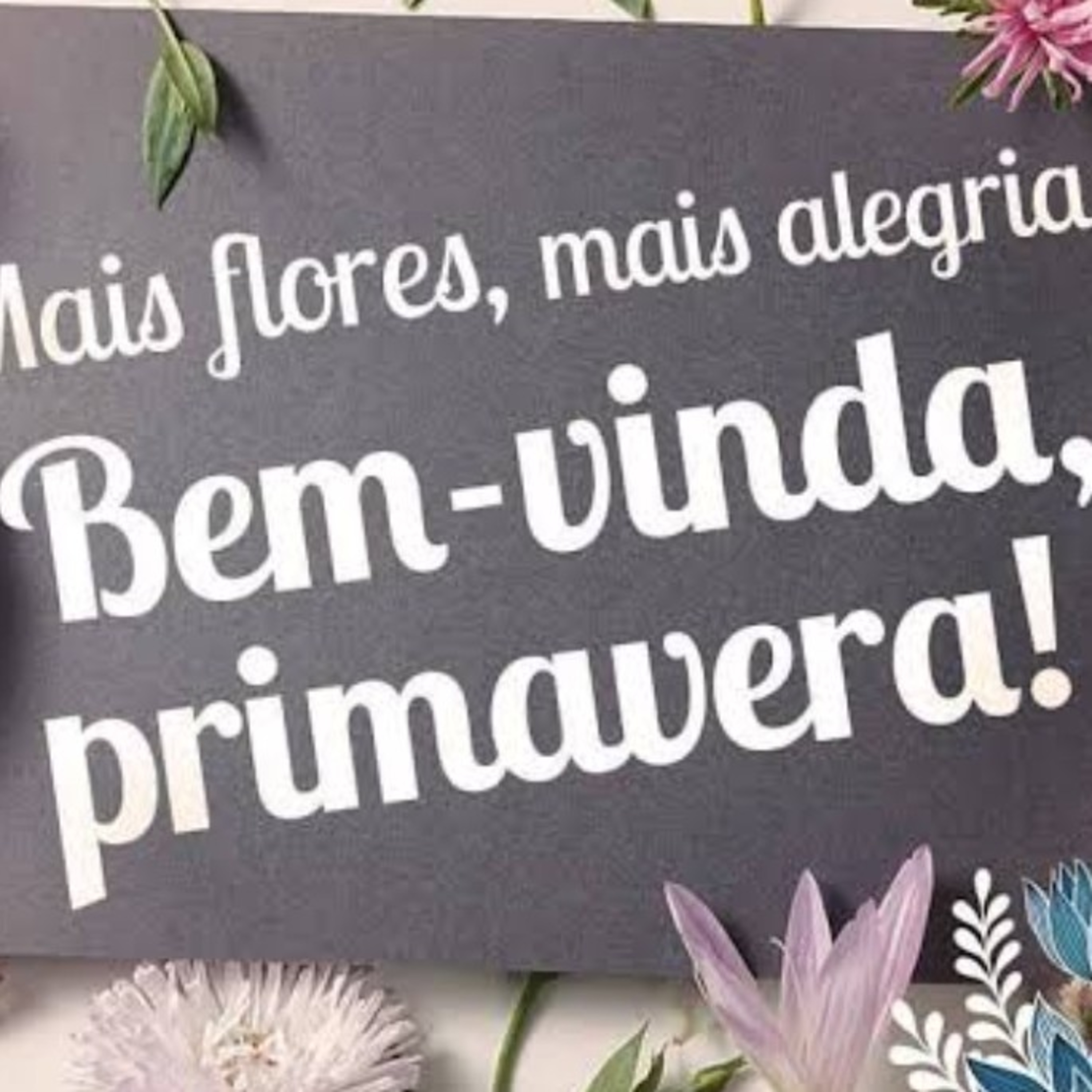 Os bastidores da vida