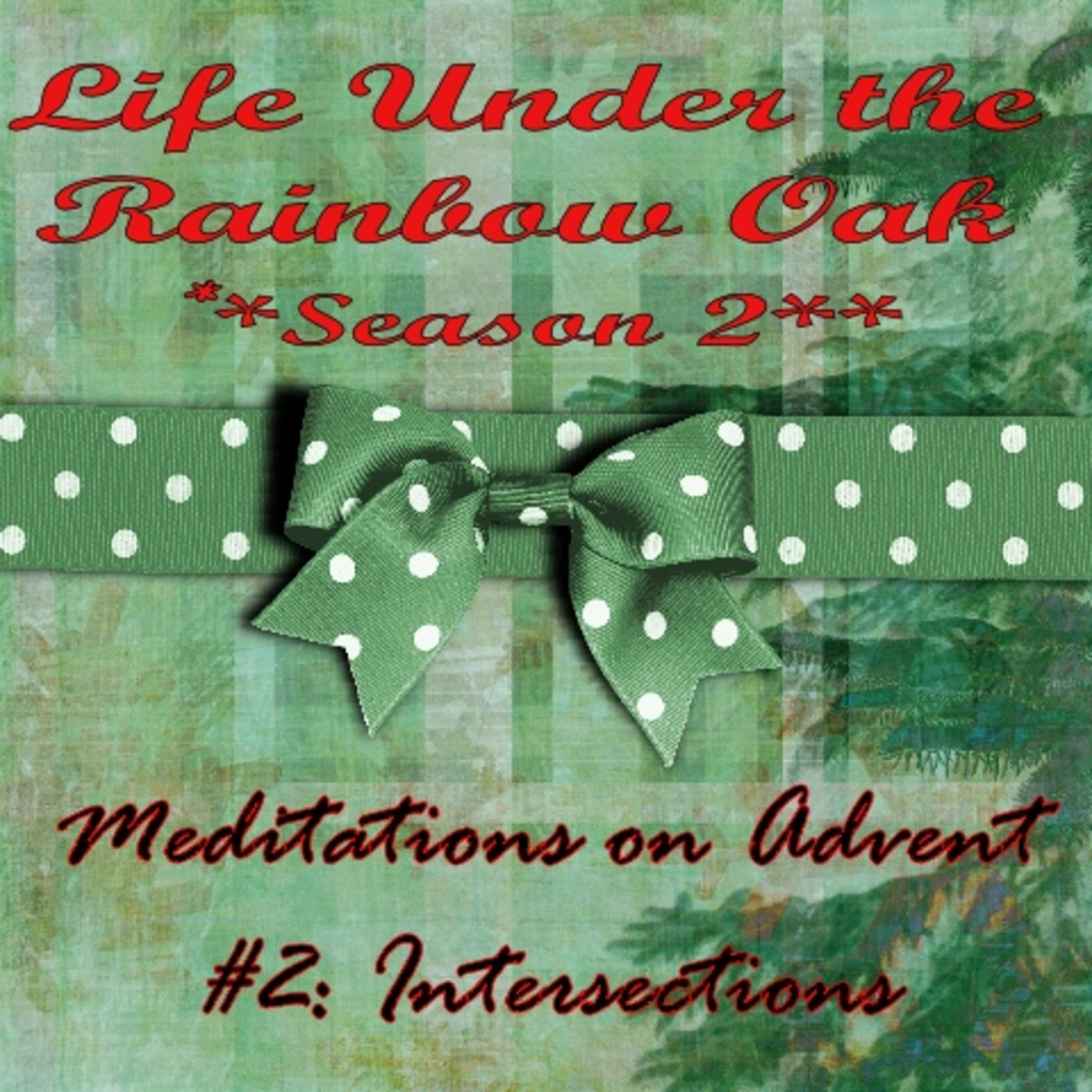 Life Under the Rainbow Oak