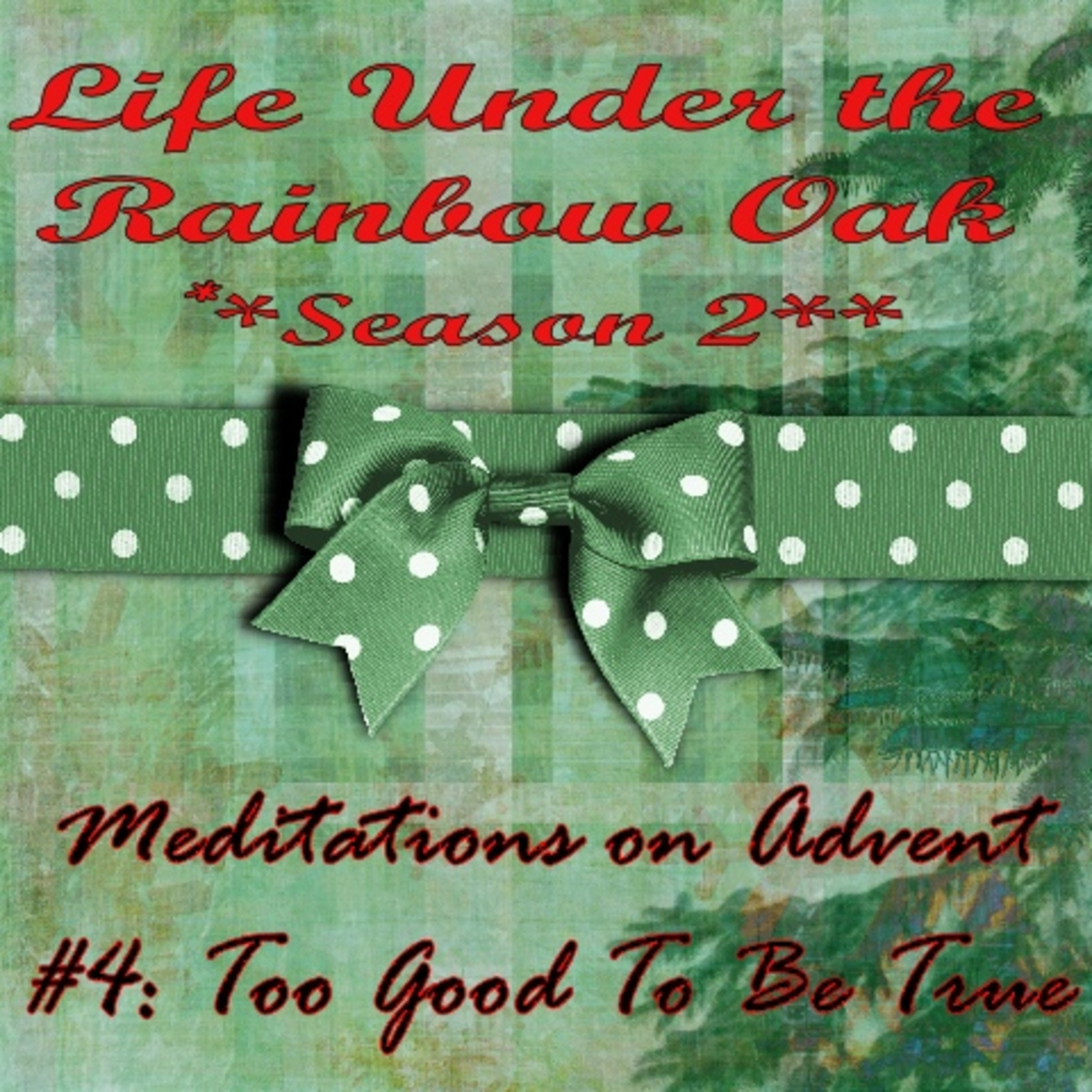 Life Under the Rainbow Oak