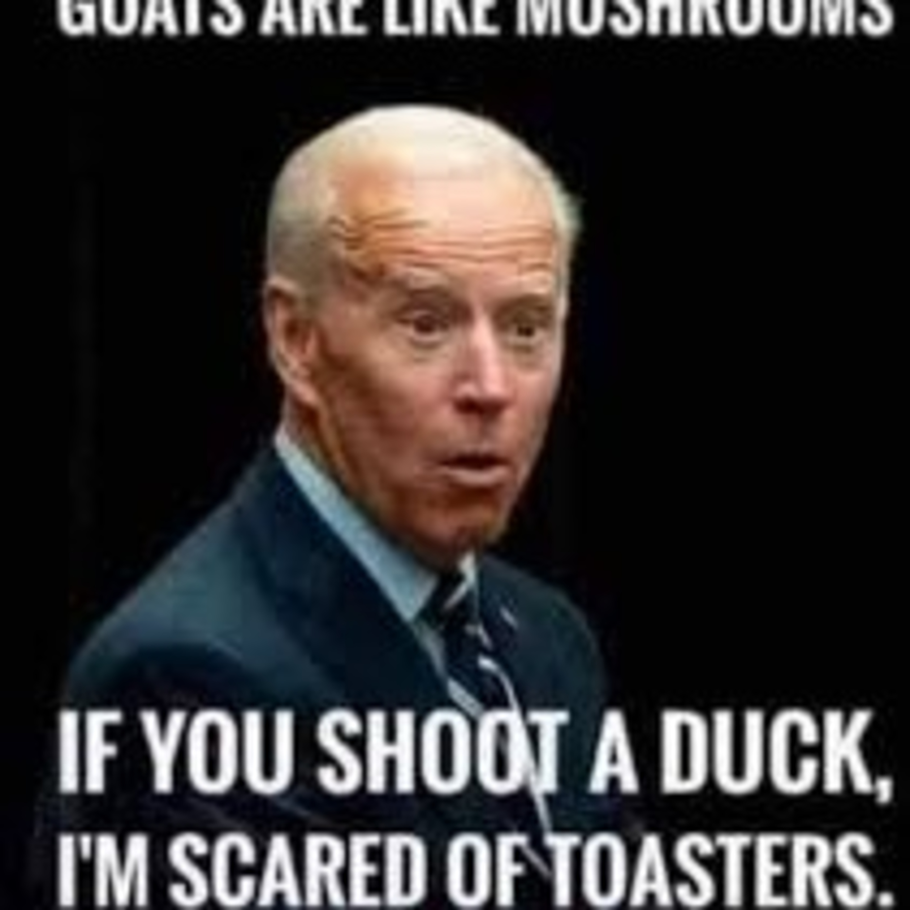 The Peterson Paper\'s