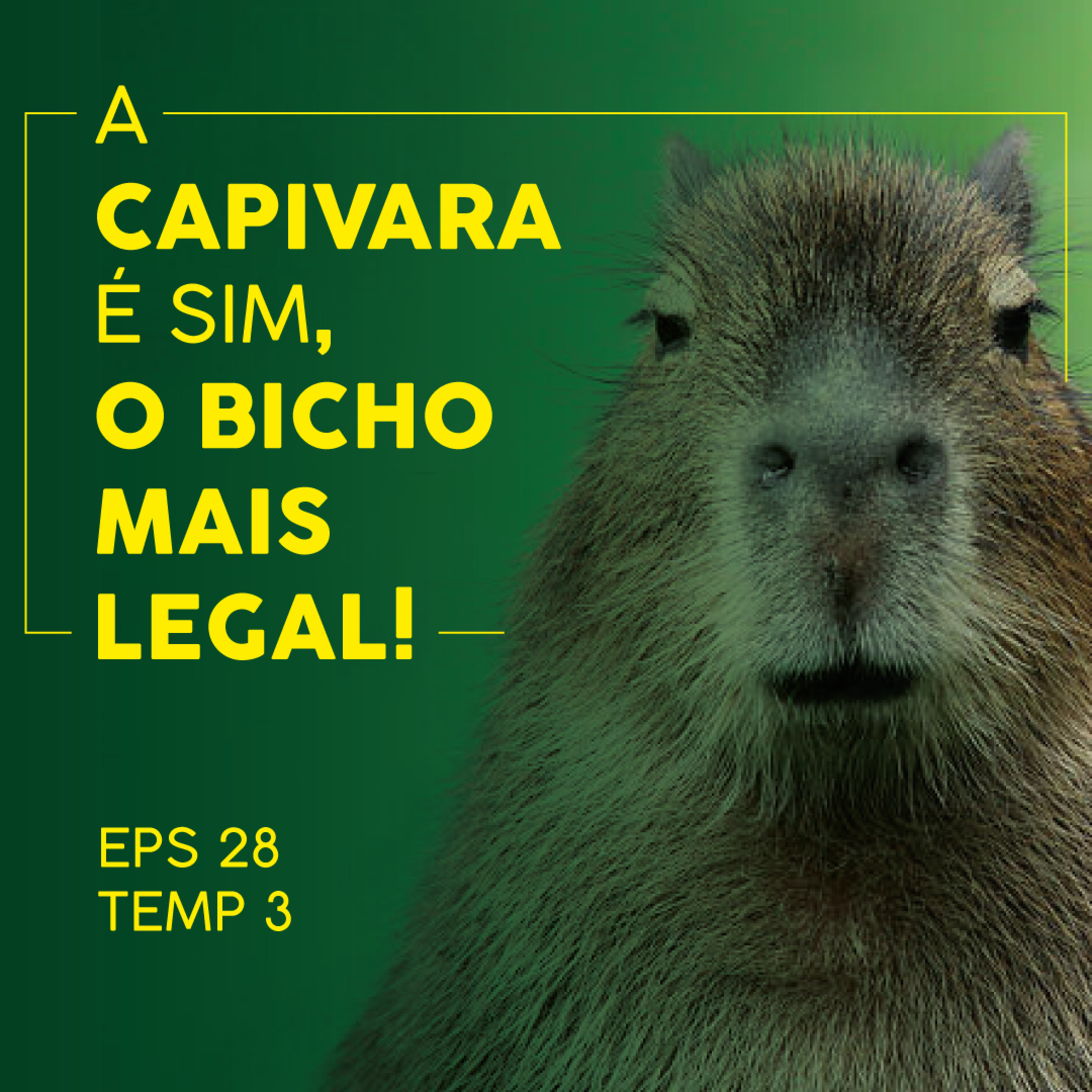 A Capivara é sim, o bicho mais legal - EP 28 - TEMP 3 episode artwork