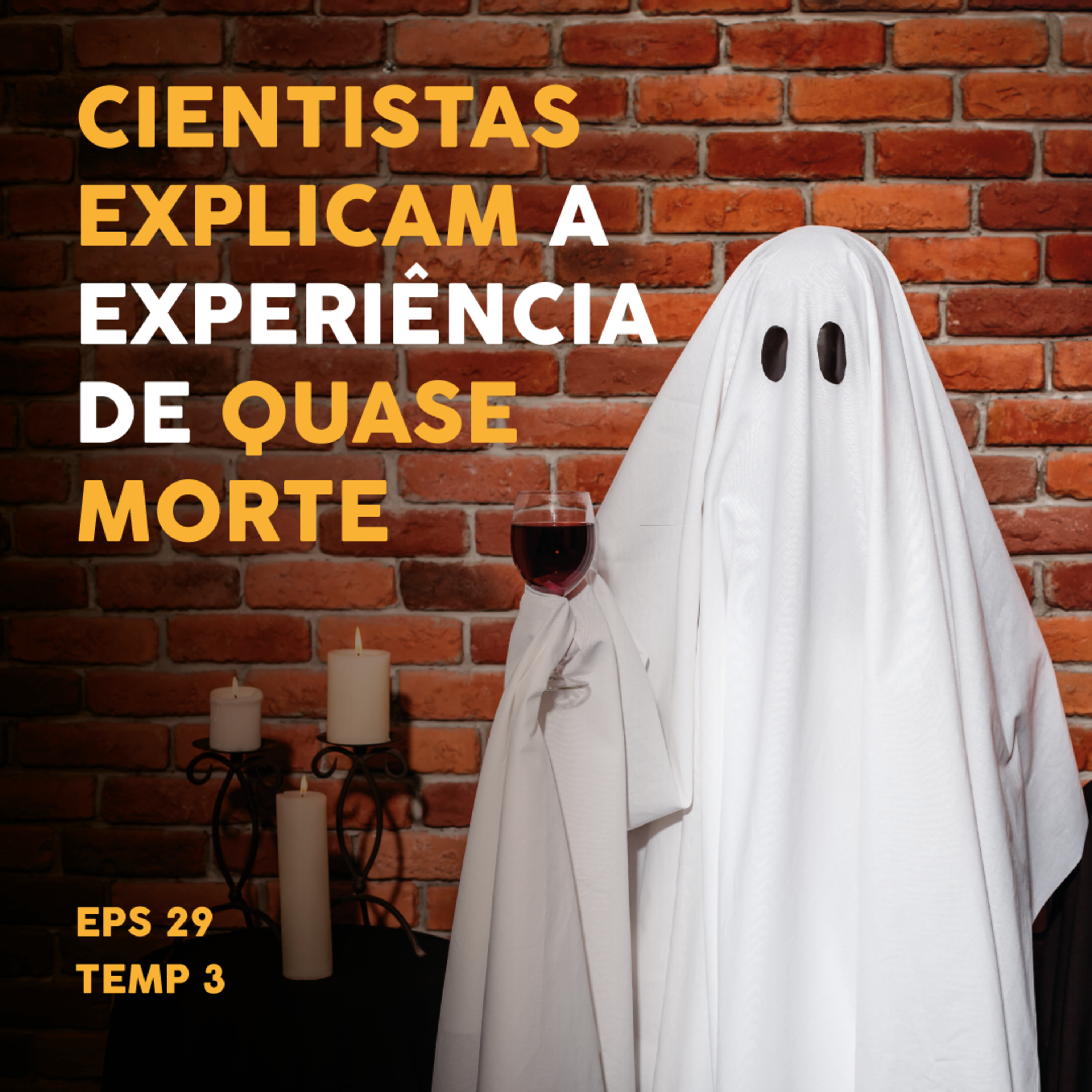 Cientistas explicam a experiência de quase morte - EP 29 - Temp 3 episode artwork