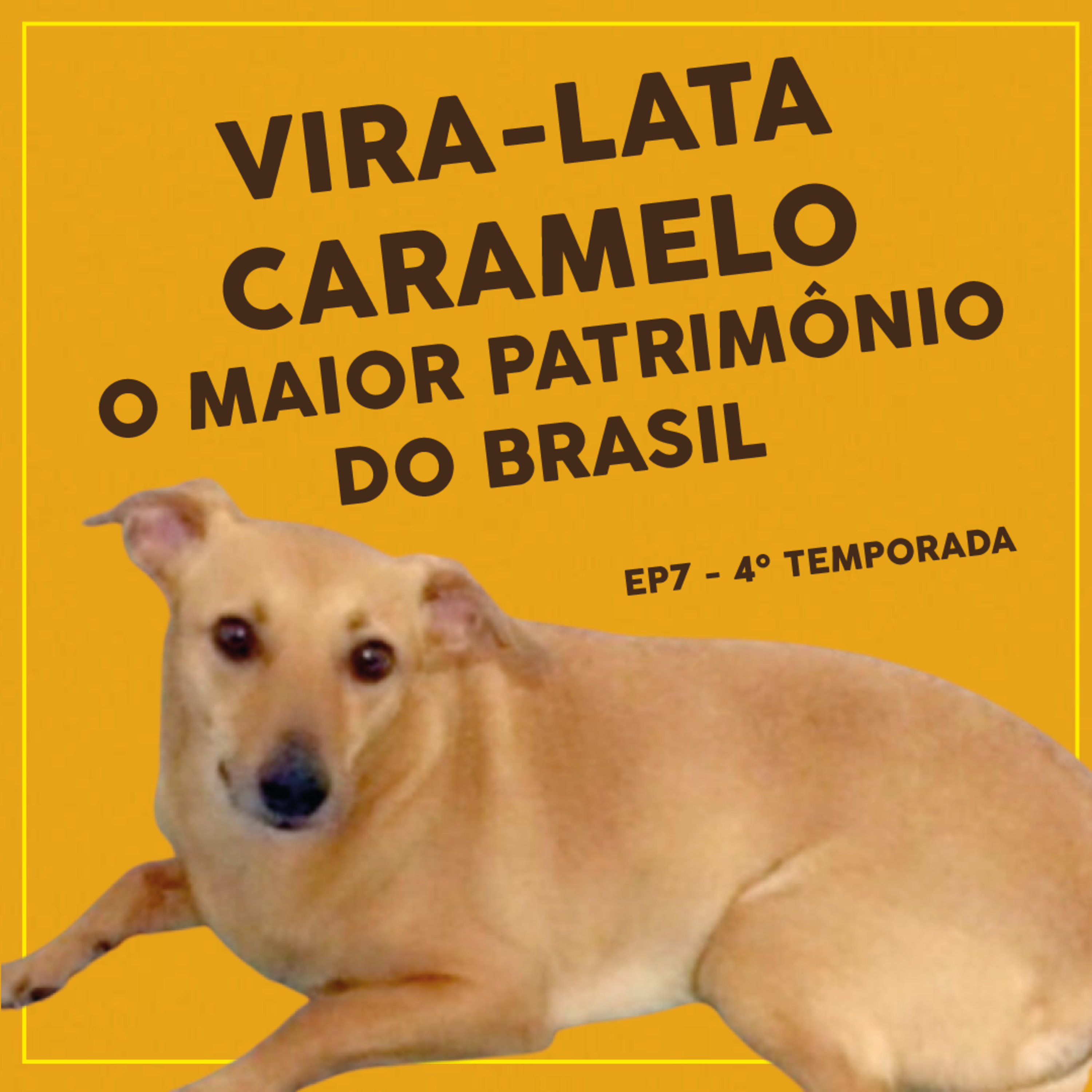 Vira-Lata Caramelo, o maior patrimônio do Brasil - EP7 - 4º Temporada episode artwork