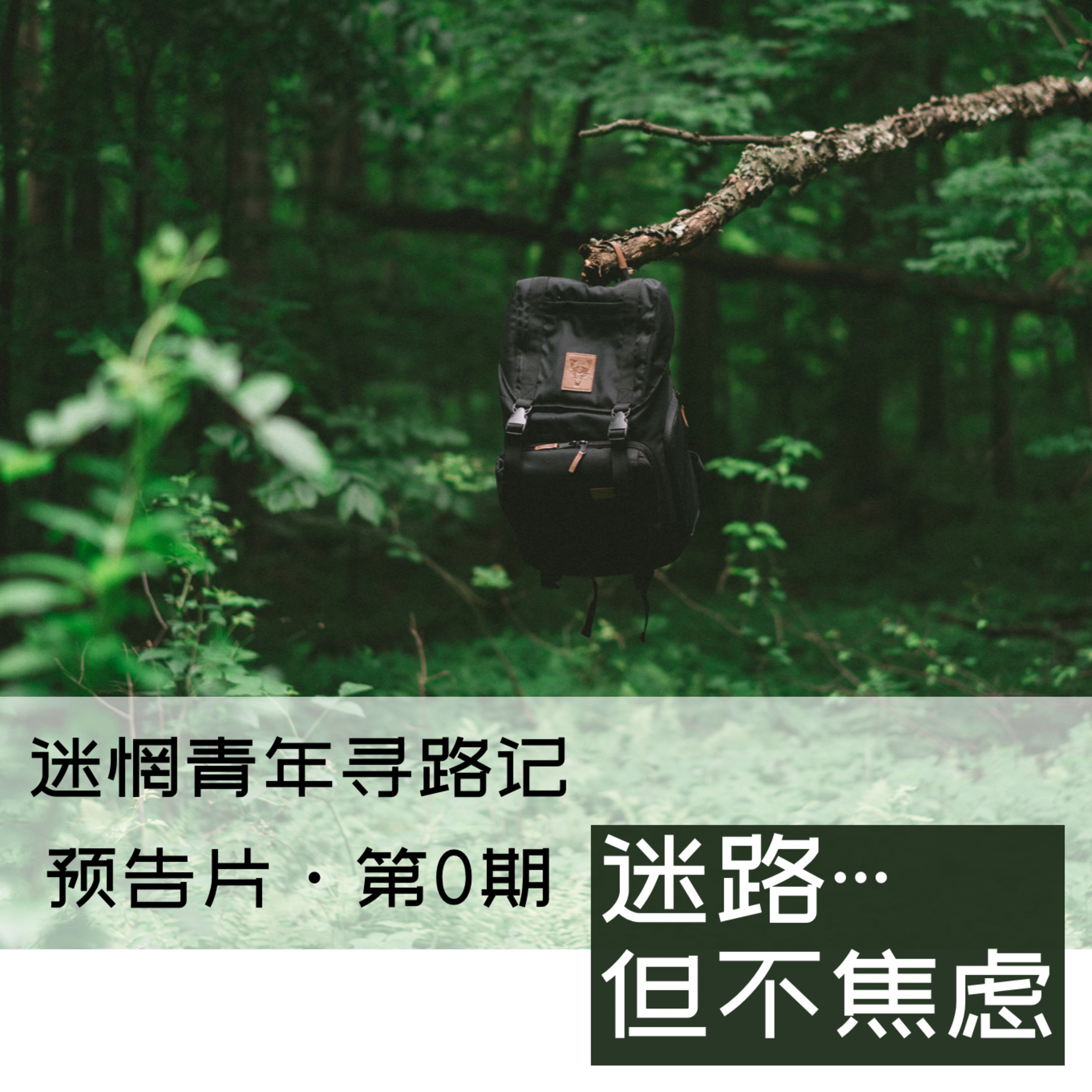 身心探索寻路记｜365 days of finding my path in Feldenkrais and somatics