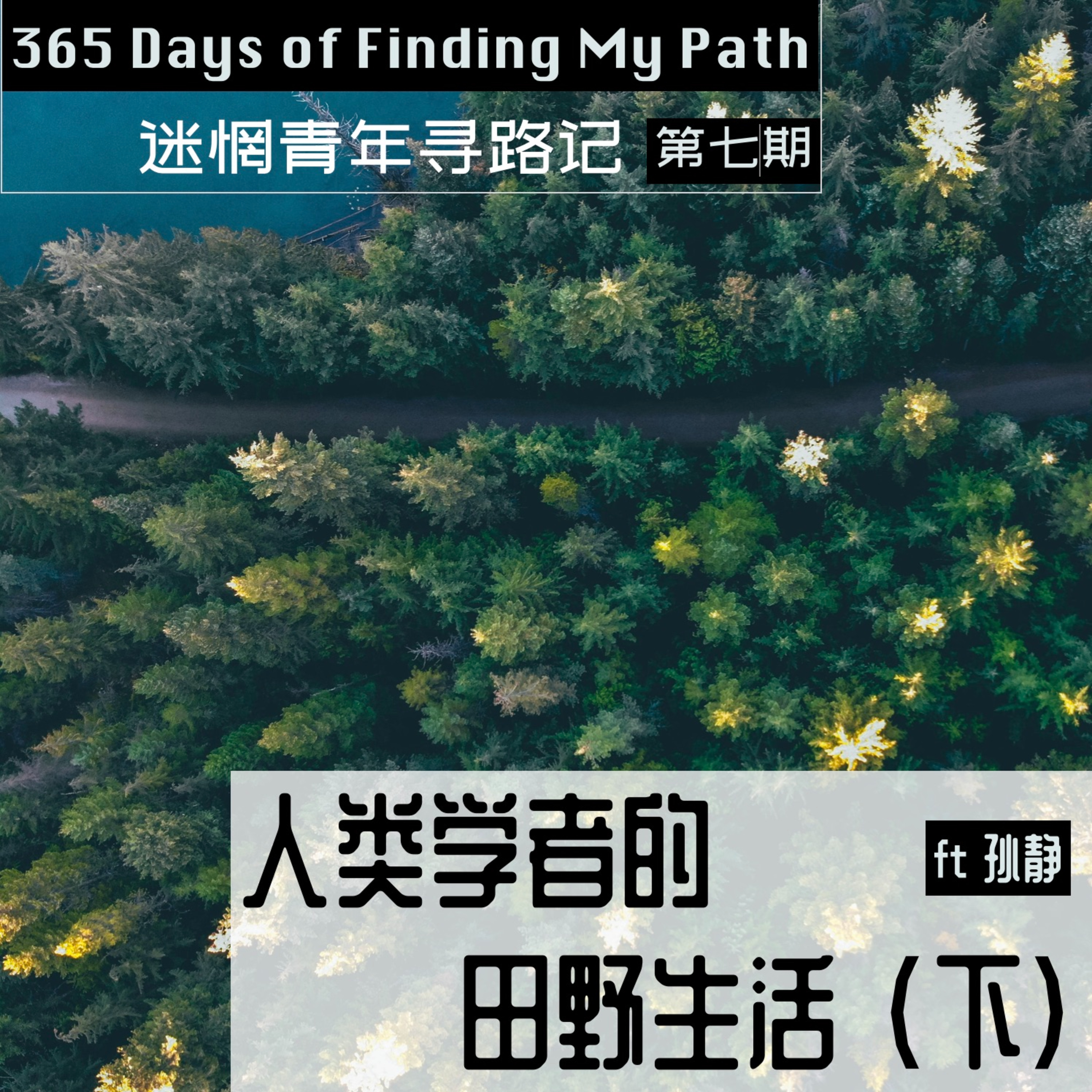 身心探索寻路记｜365 days of finding my path in Feldenkrais and somatics