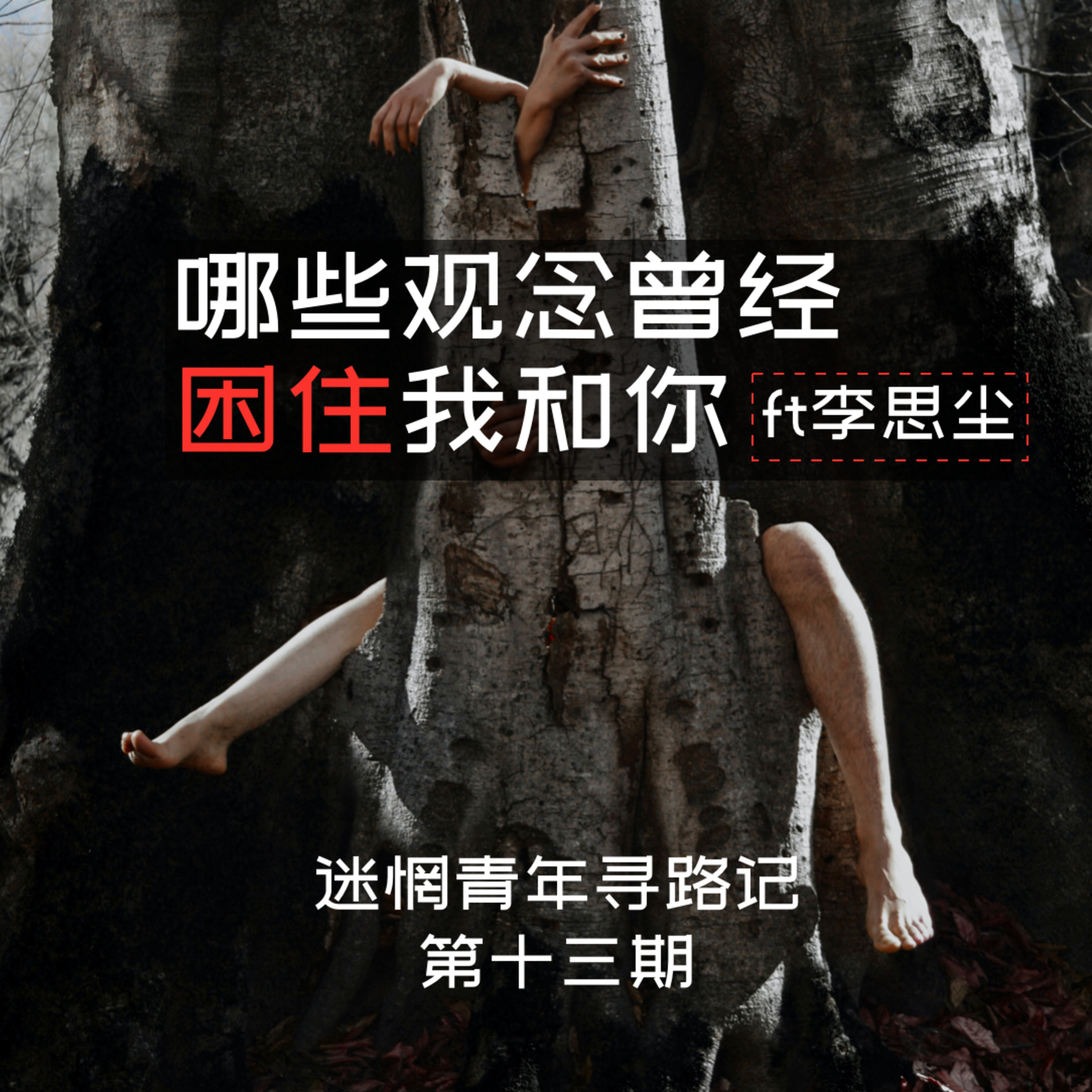 cover of episode Ep13: 与物理博士谈，哪些观念曾经困住我和你 ft李思尘