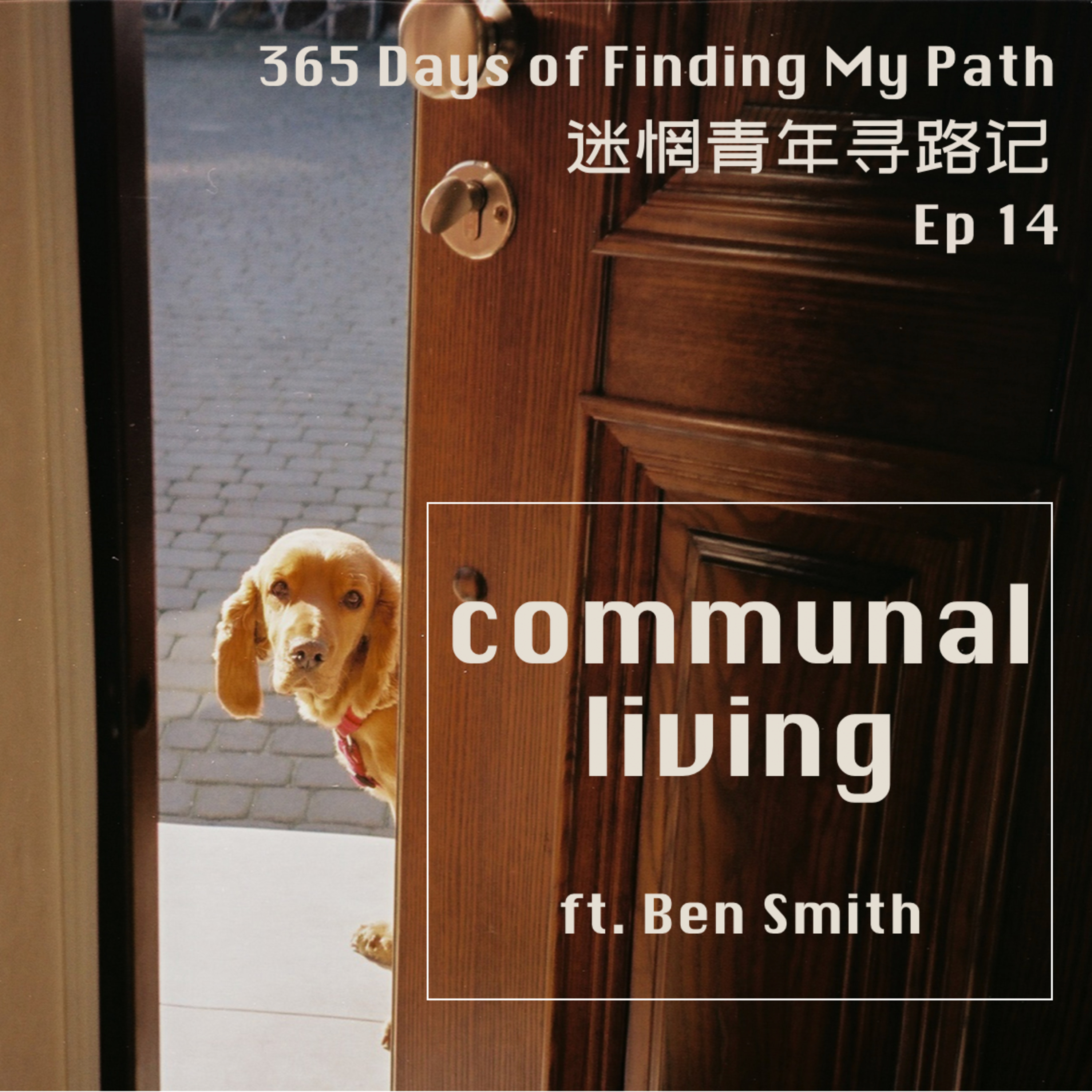 身心探索寻路记｜365 days of finding my path in Feldenkrais and somatics