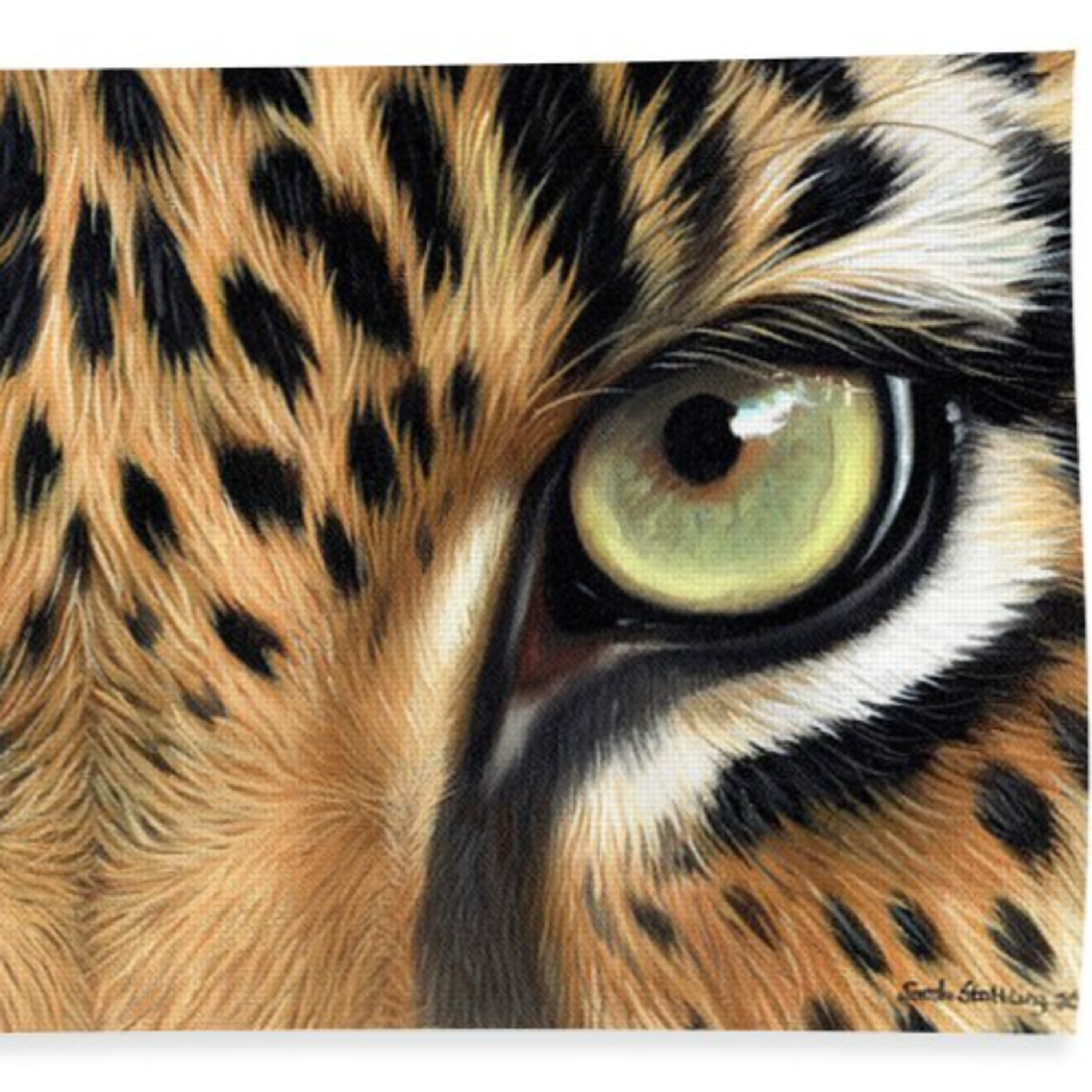 Alberto Azevedo - Meditation and insight stories.Textos meditativos e meditações terapêuticas.