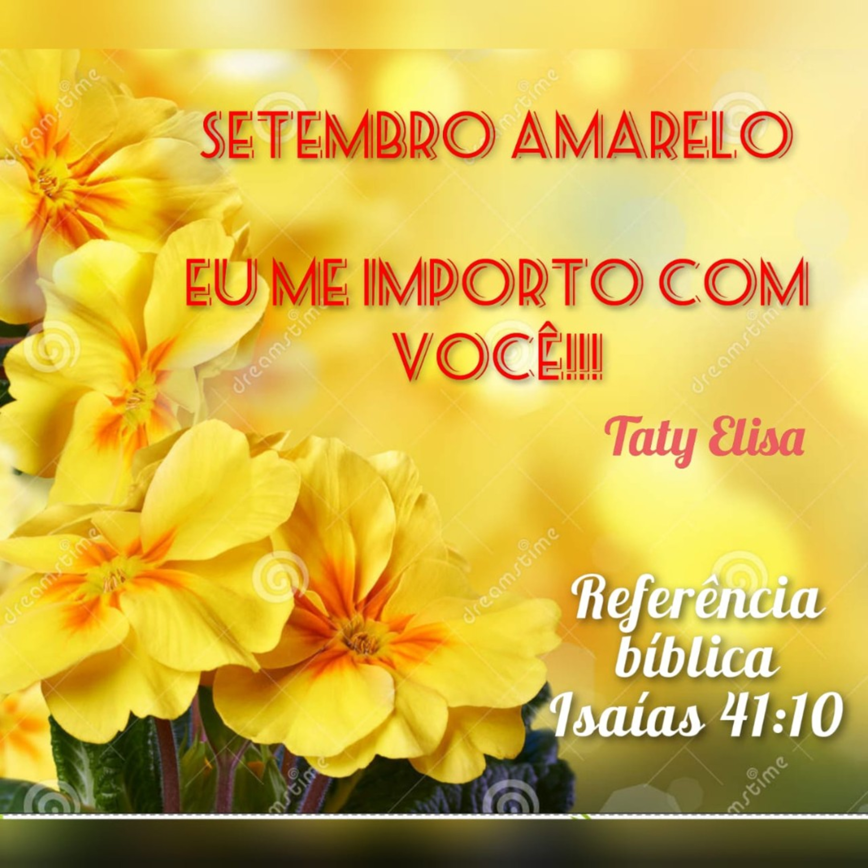 Alimentando O Espírito - Devocional Para Mulheres Por Taty Elisa
