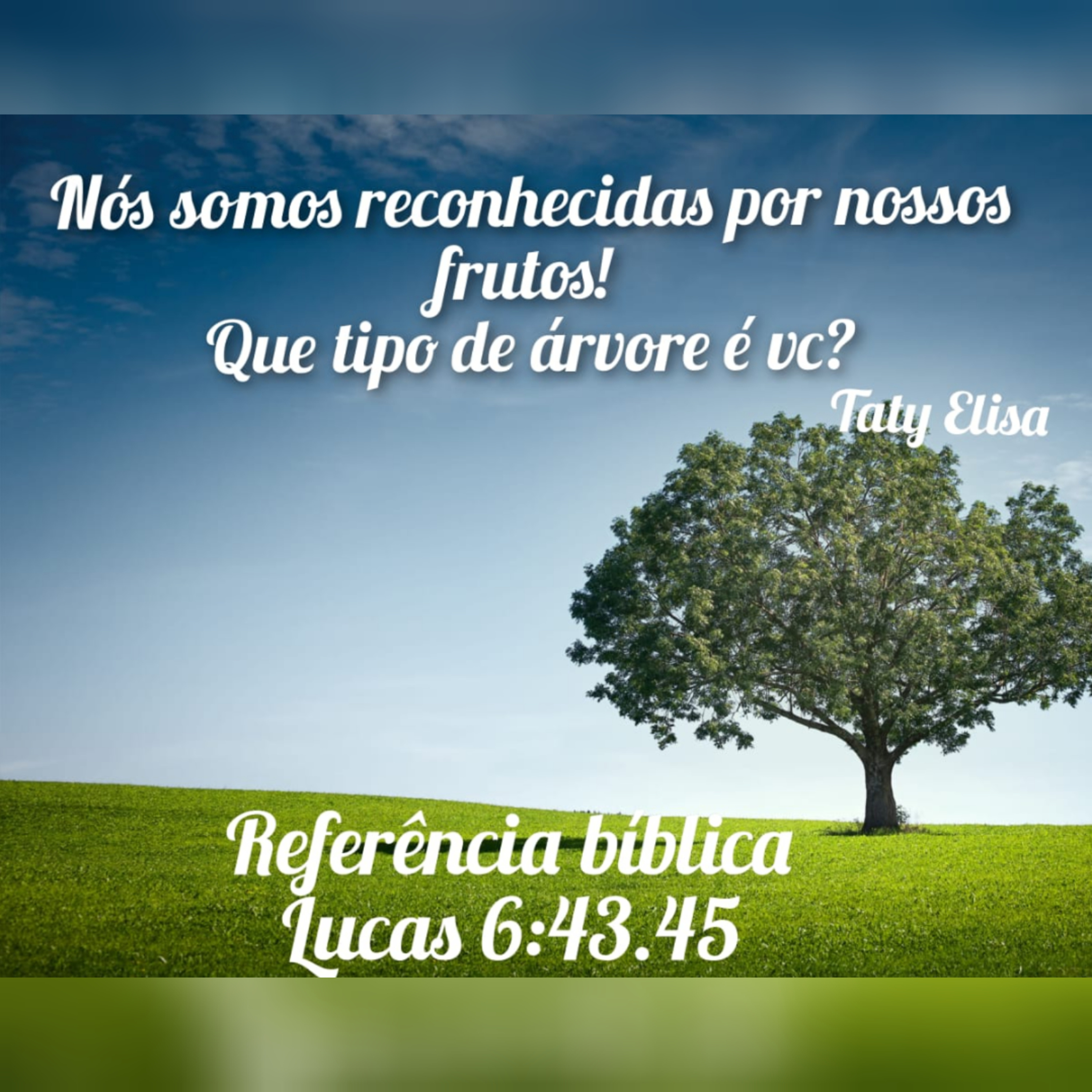 Alimentando O Espírito - Devocional Para Mulheres Por Taty Elisa