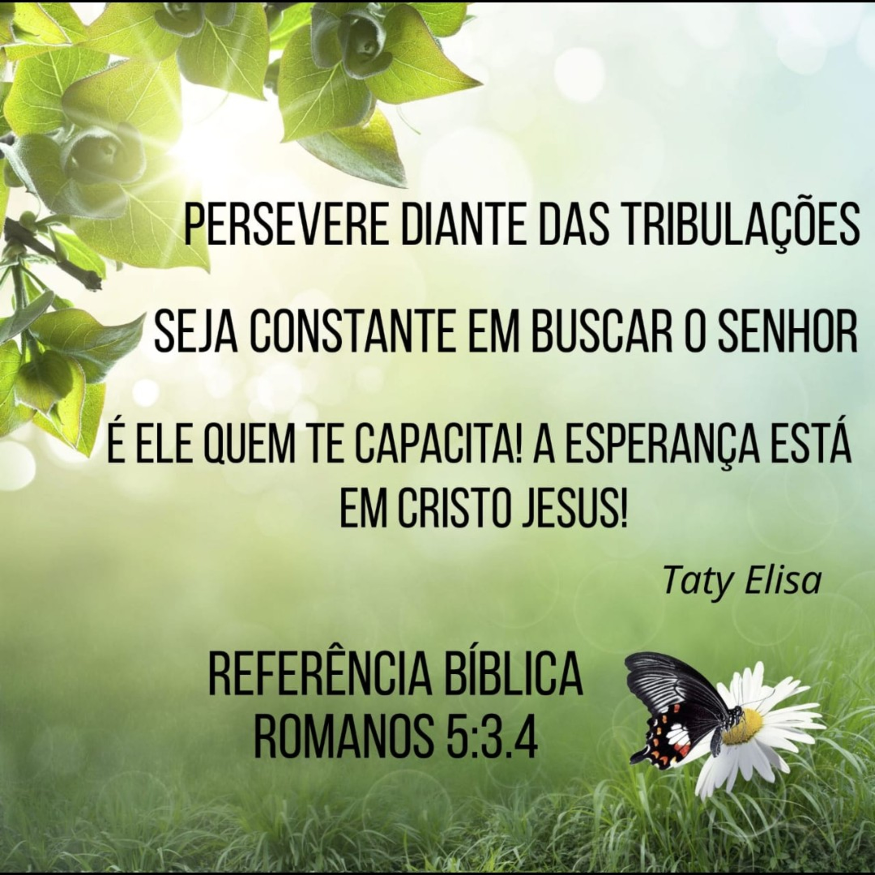 Alimentando O Espírito - Devocional Para Mulheres Por Taty Elisa