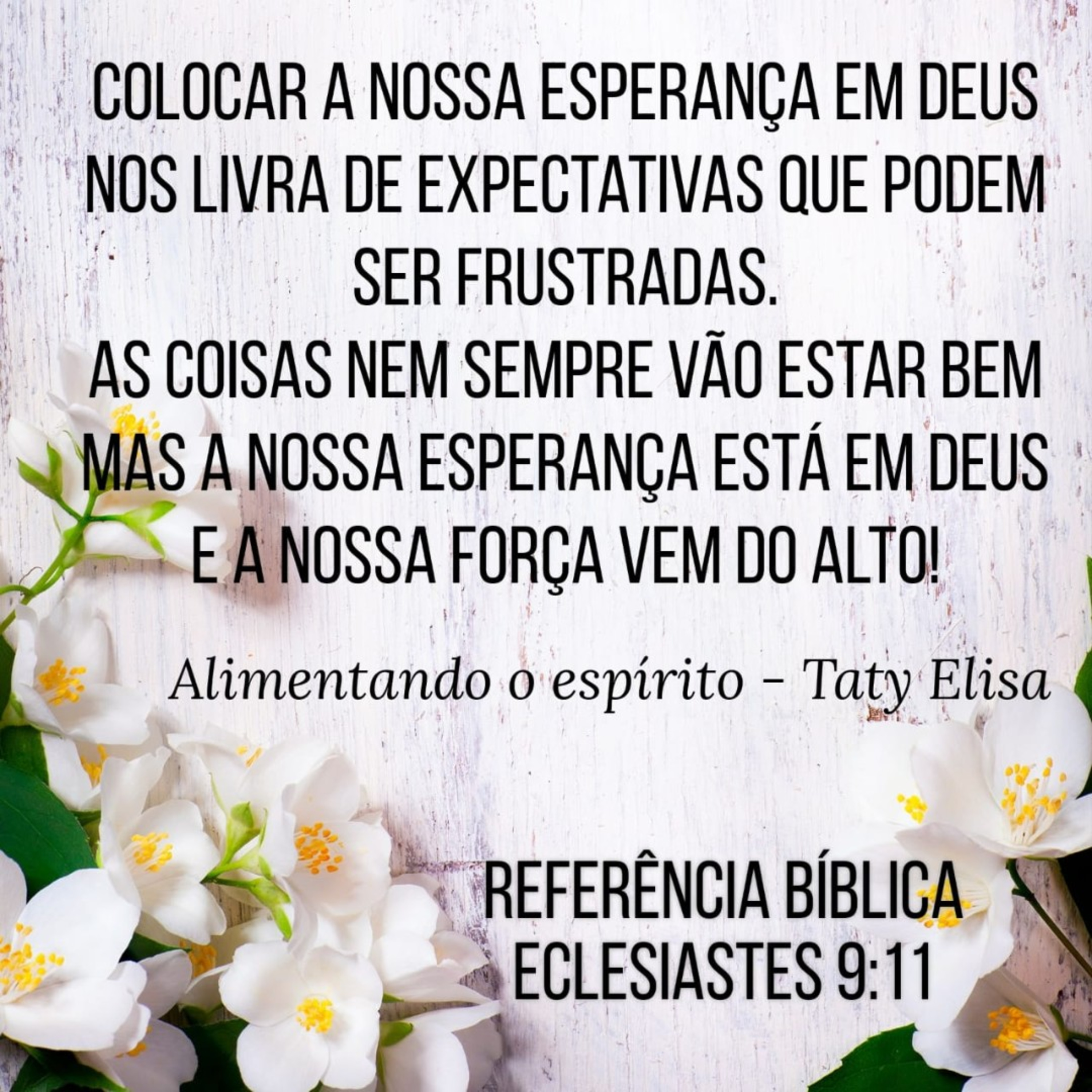 Alimentando O Espírito - Devocional Para Mulheres Por Taty Elisa