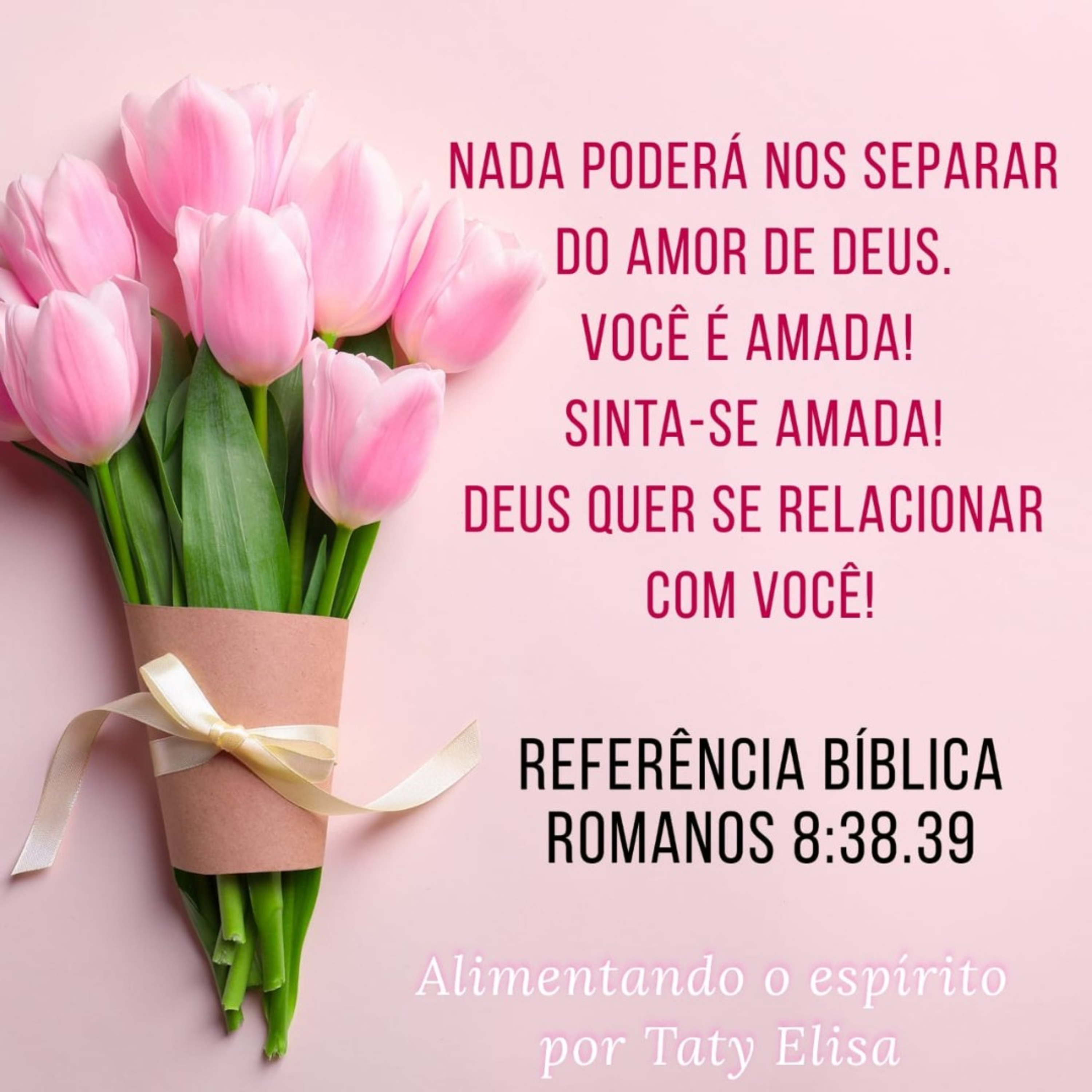 Alimentando O Espírito - Devocional Para Mulheres Por Taty Elisa
