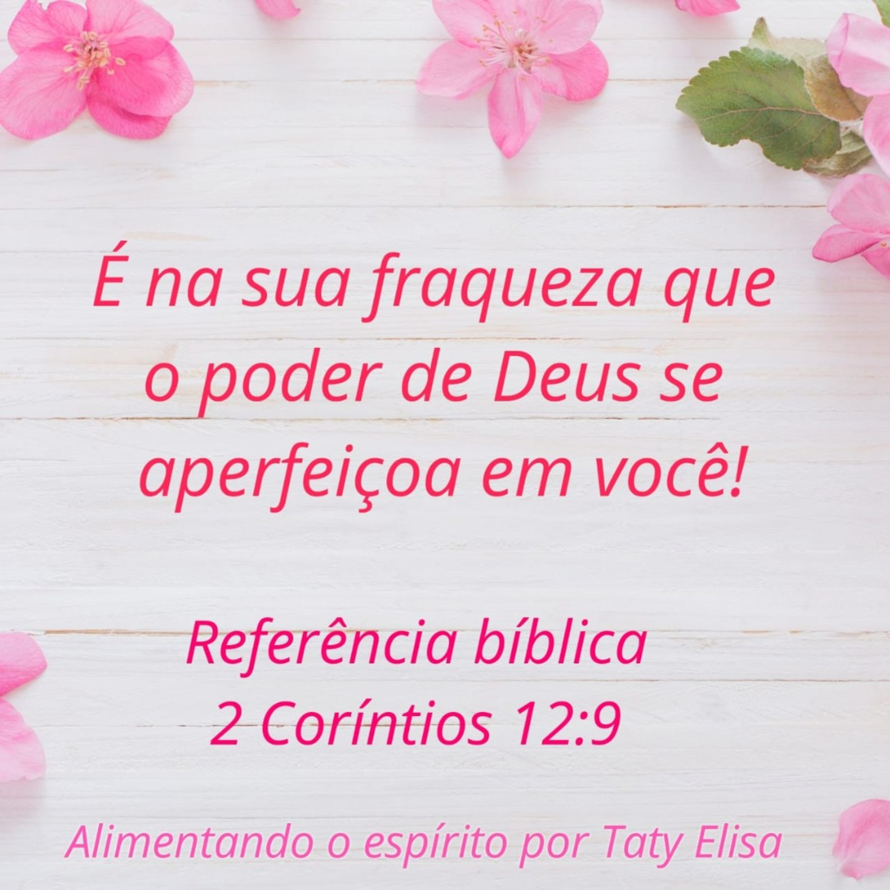Alimentando O Espírito - Devocional Para Mulheres Por Taty Elisa