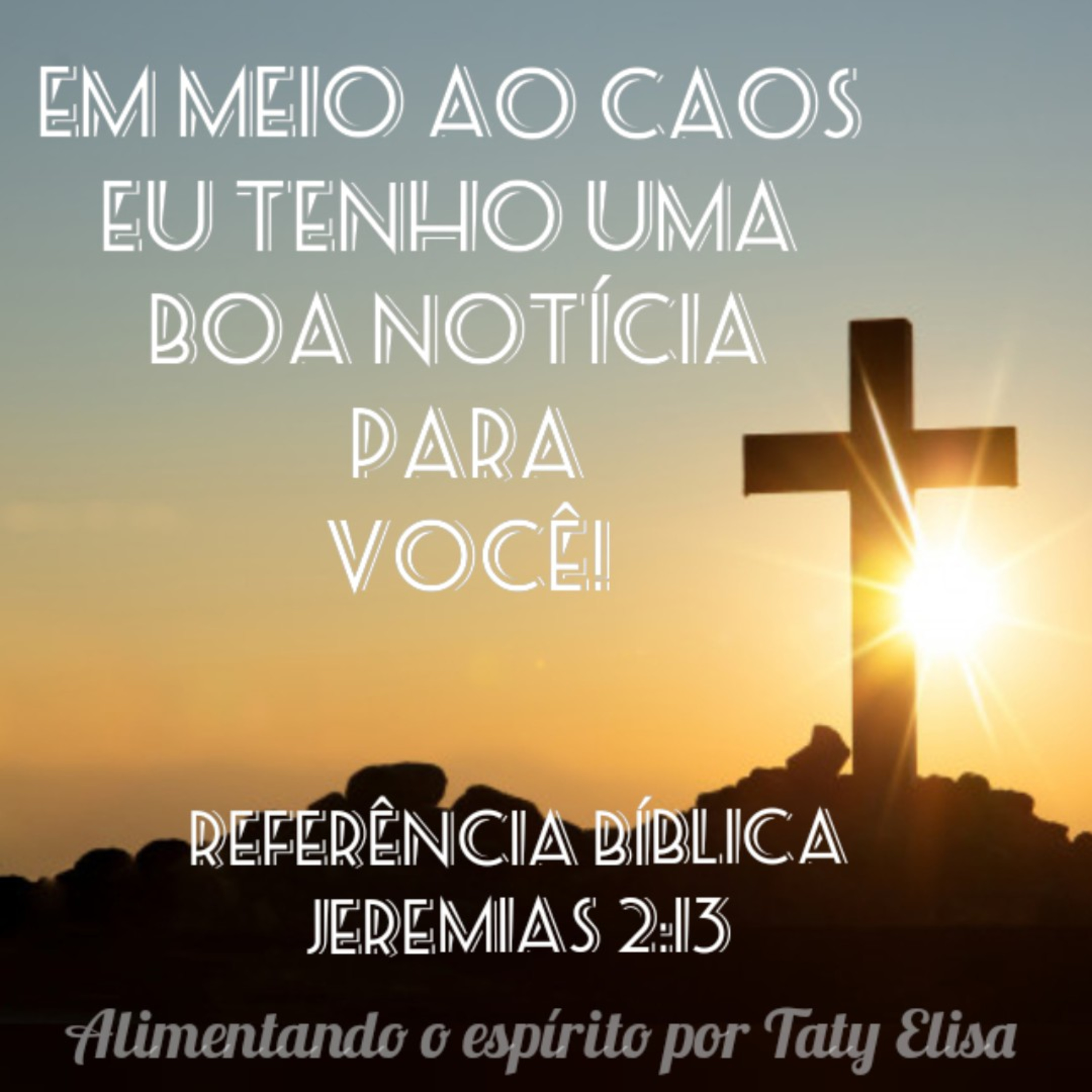 Alimentando O Espírito - Devocional Para Mulheres Por Taty Elisa