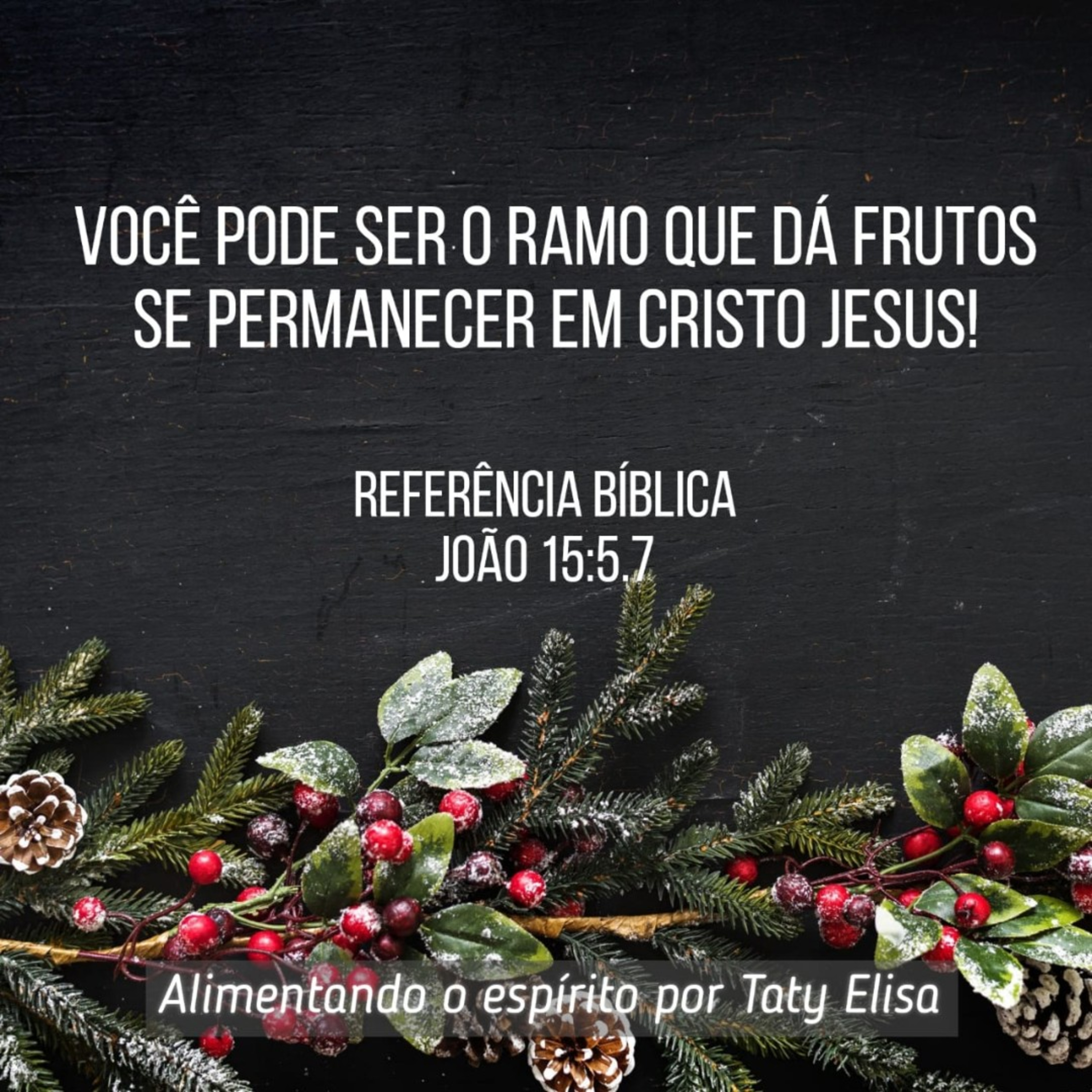 Alimentando O Espírito - Devocional Para Mulheres Por Taty Elisa