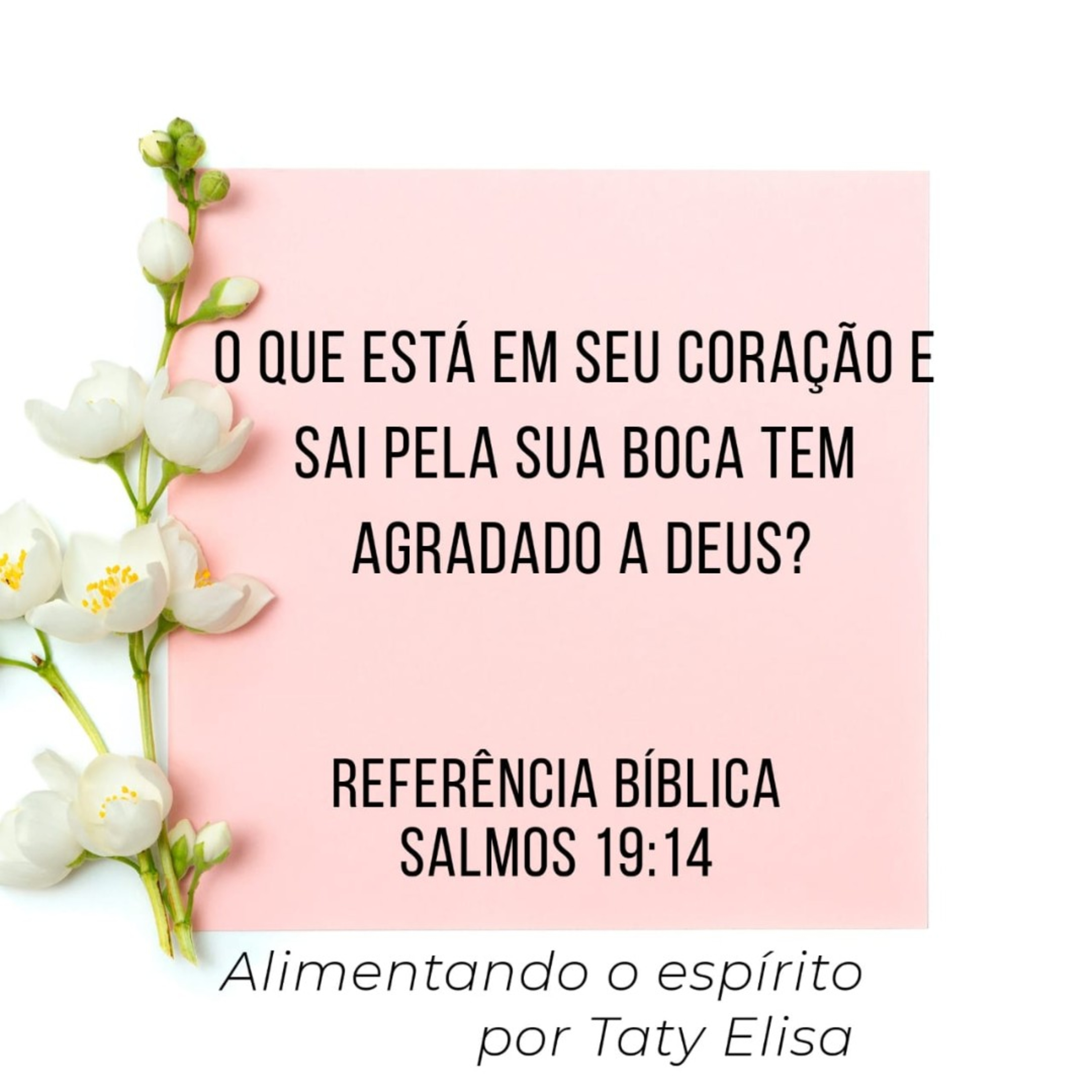 Alimentando O Espírito - Devocional Para Mulheres Por Taty Elisa