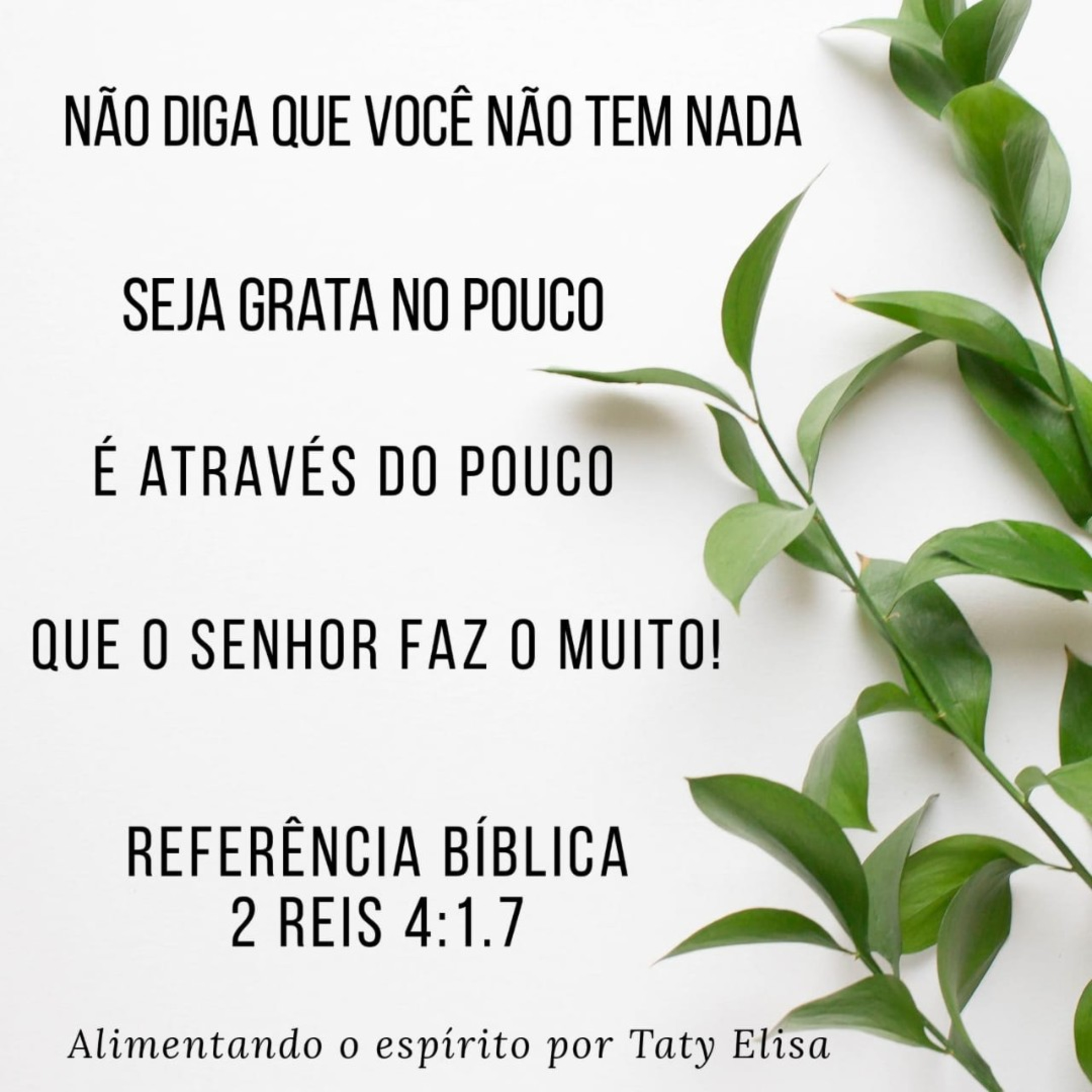 Alimentando O Espírito - Devocional Para Mulheres Por Taty Elisa