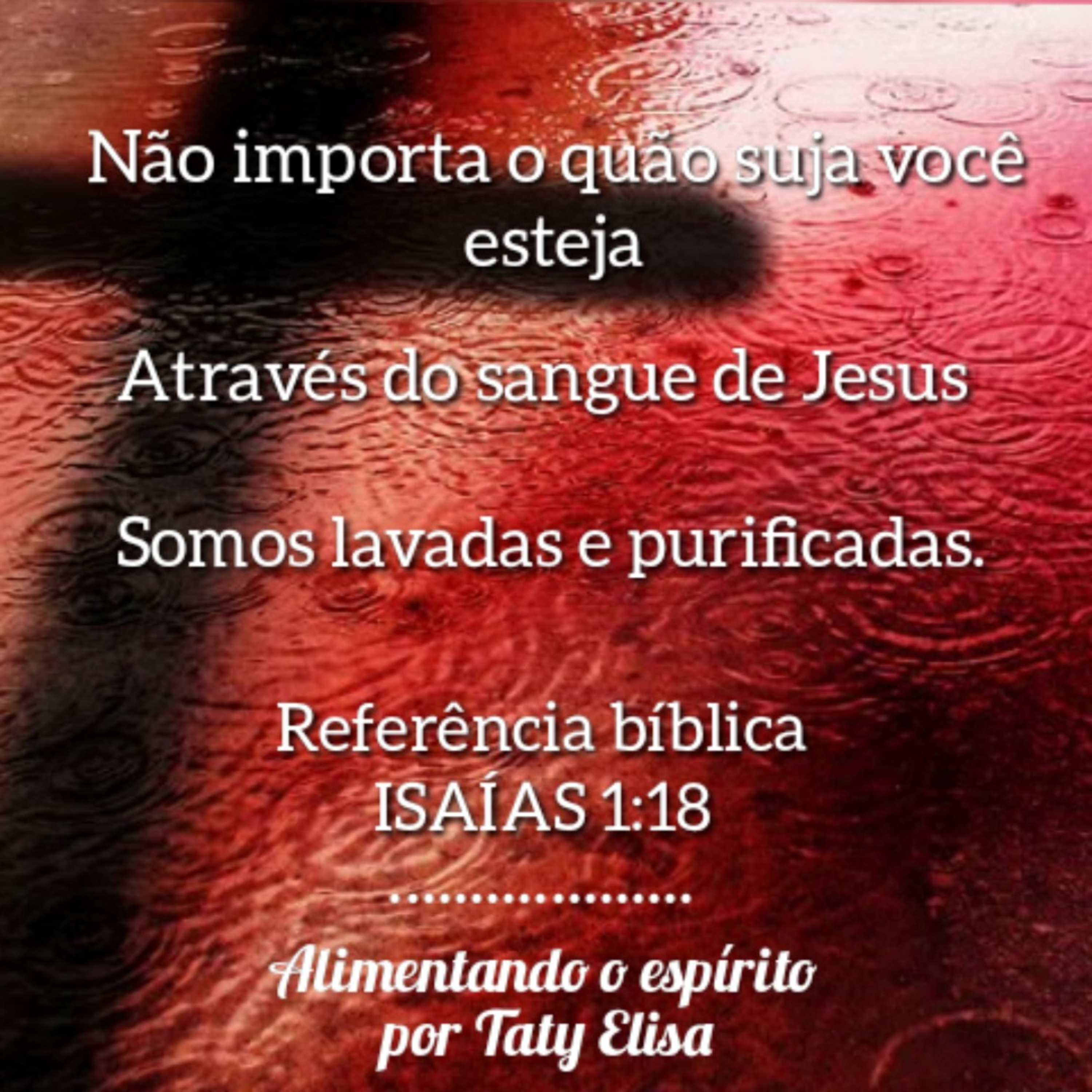 Alimentando O Espírito - Devocional Para Mulheres Por Taty Elisa