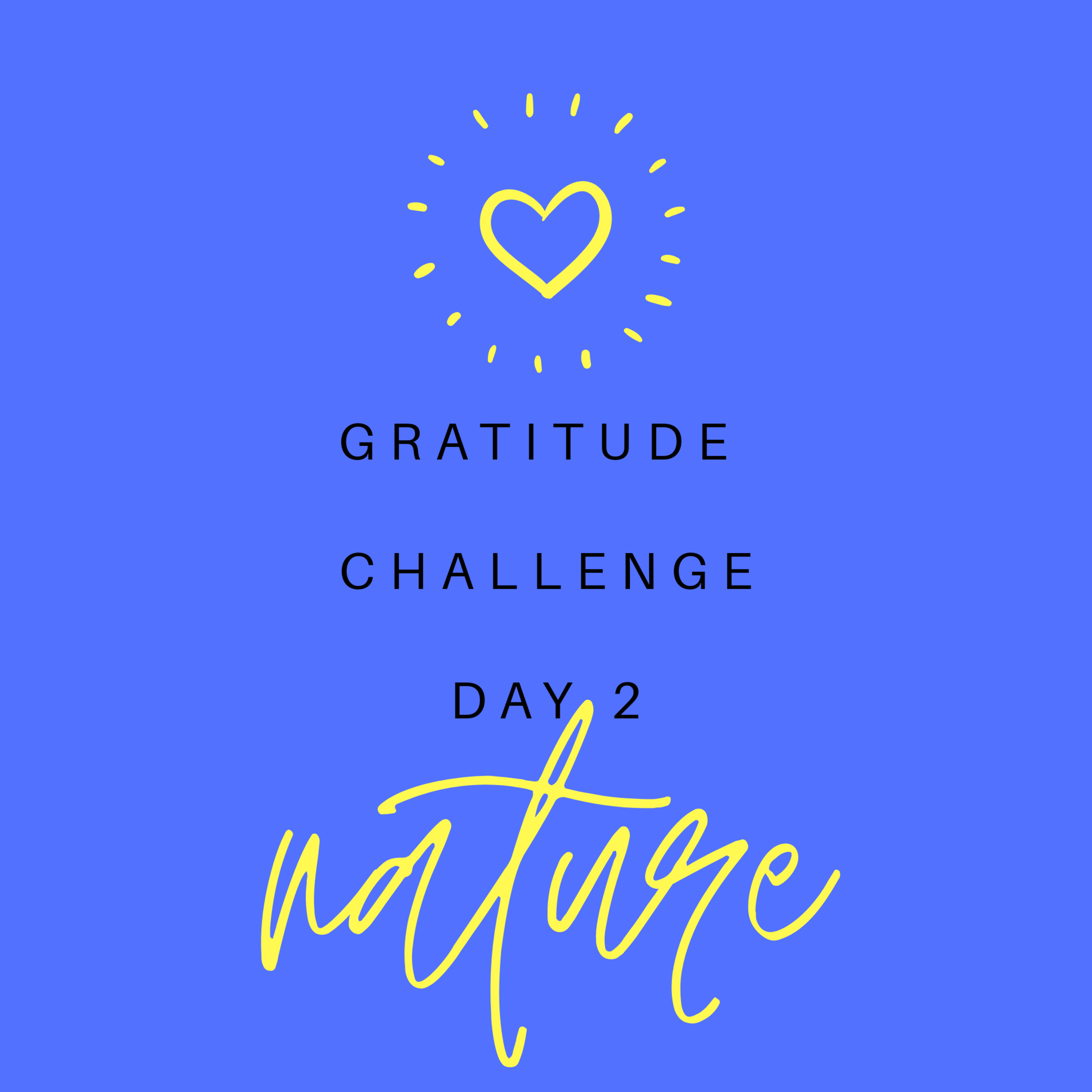 30 Days of Gratitude Day 2 episode artwork